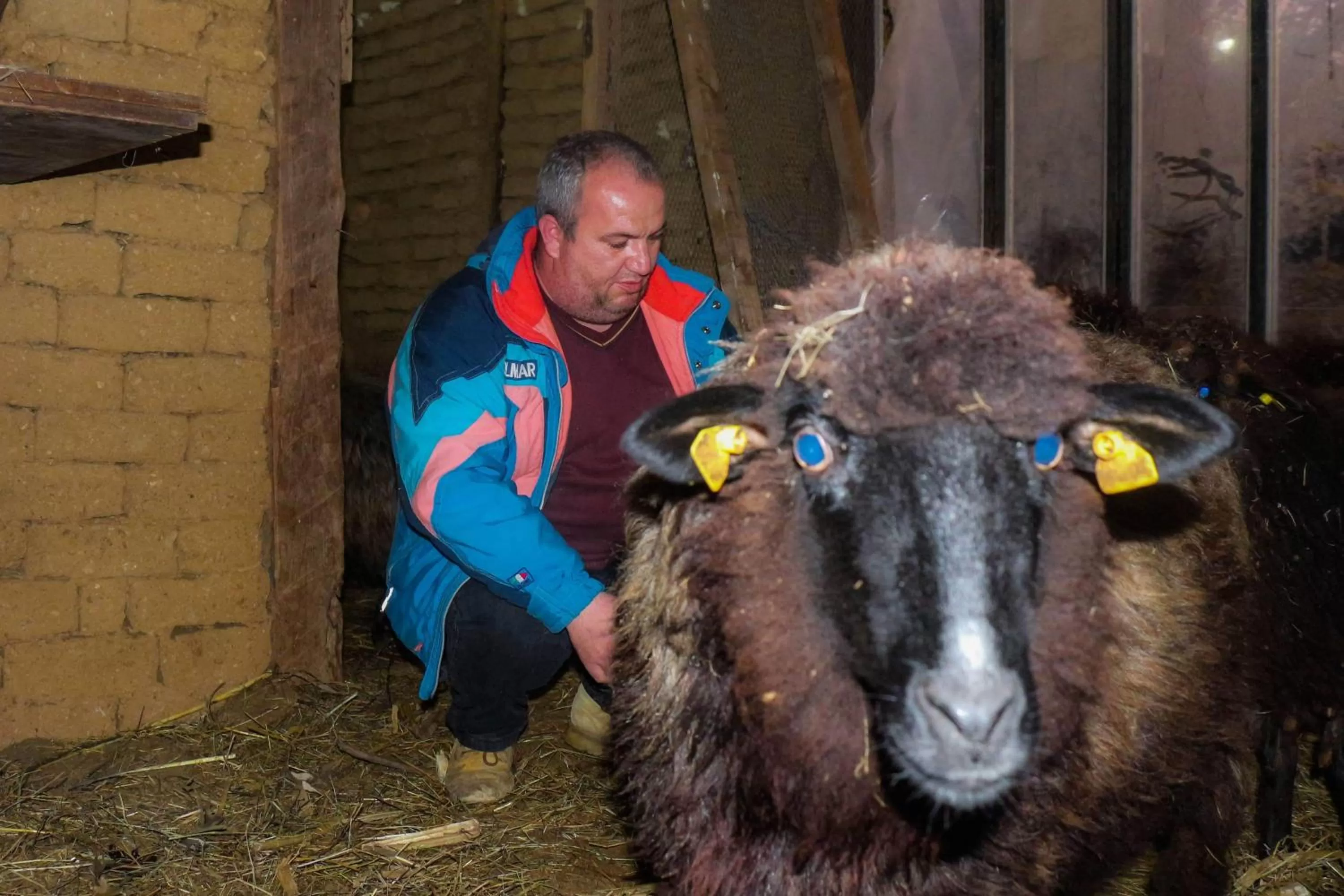 Etno selo Vile Jefimija, selo Preobrazenje, Vranje