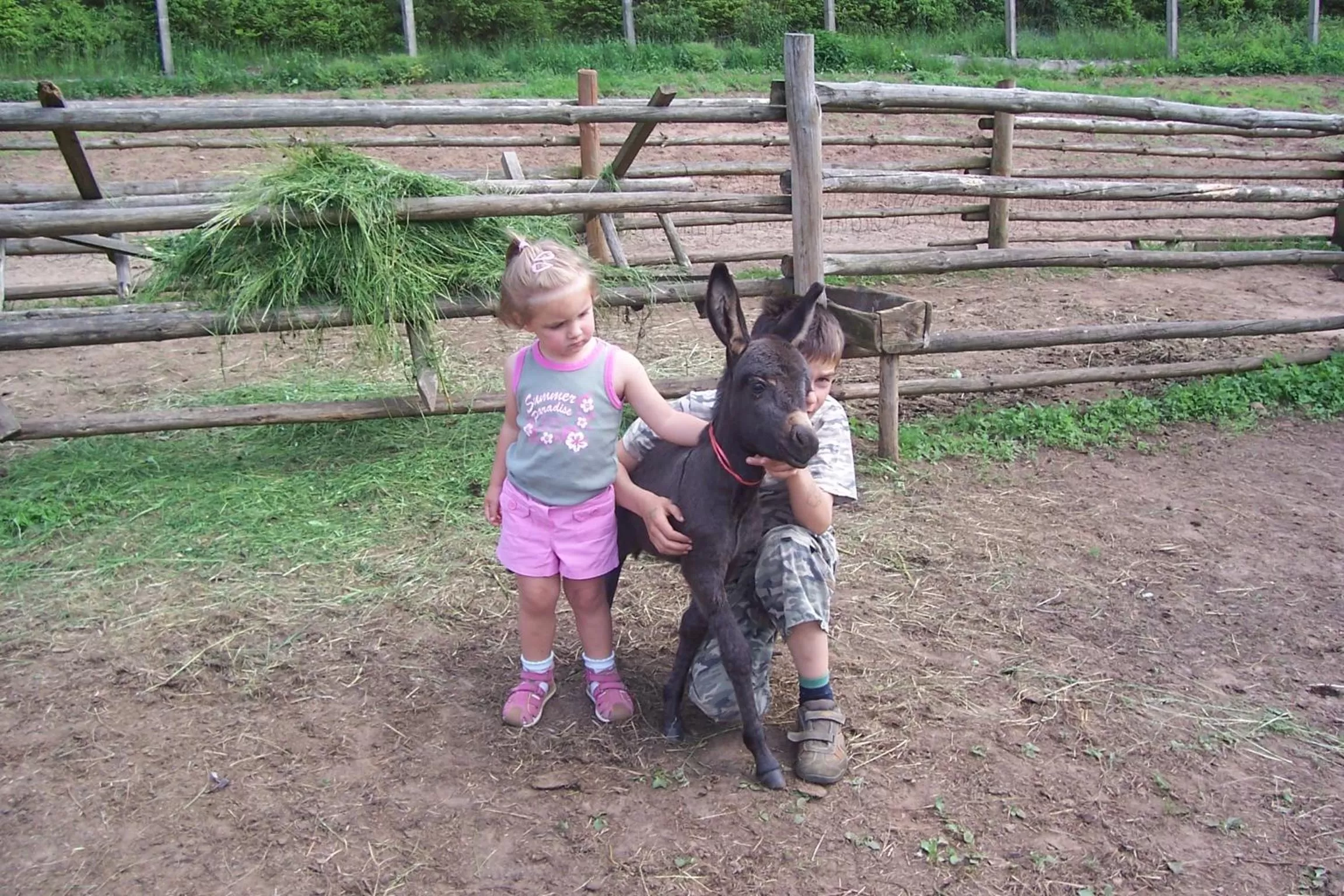 Animals, Children in Ziołowa Dolina