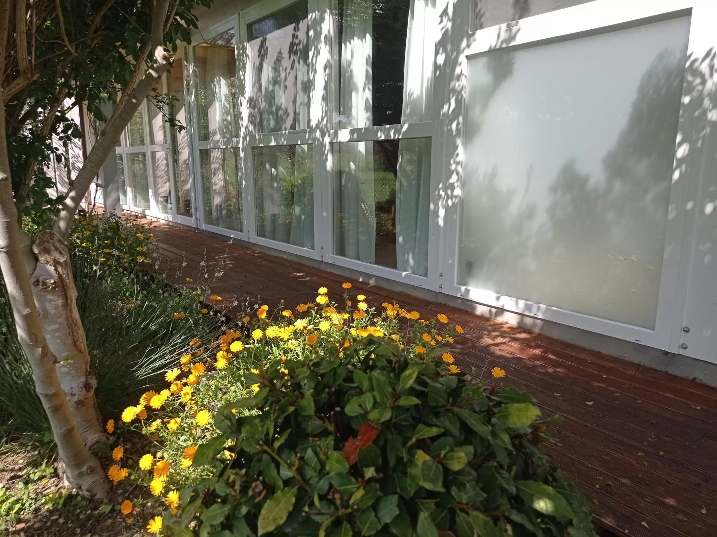 La Casa di Tara B&B Armonia e Natura