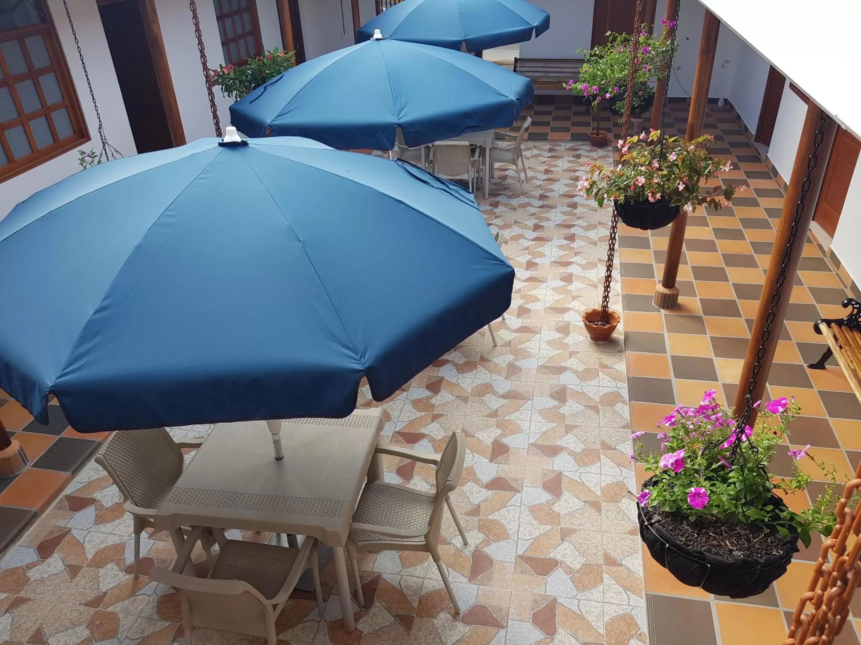 Garden in Hotel La Ceiba