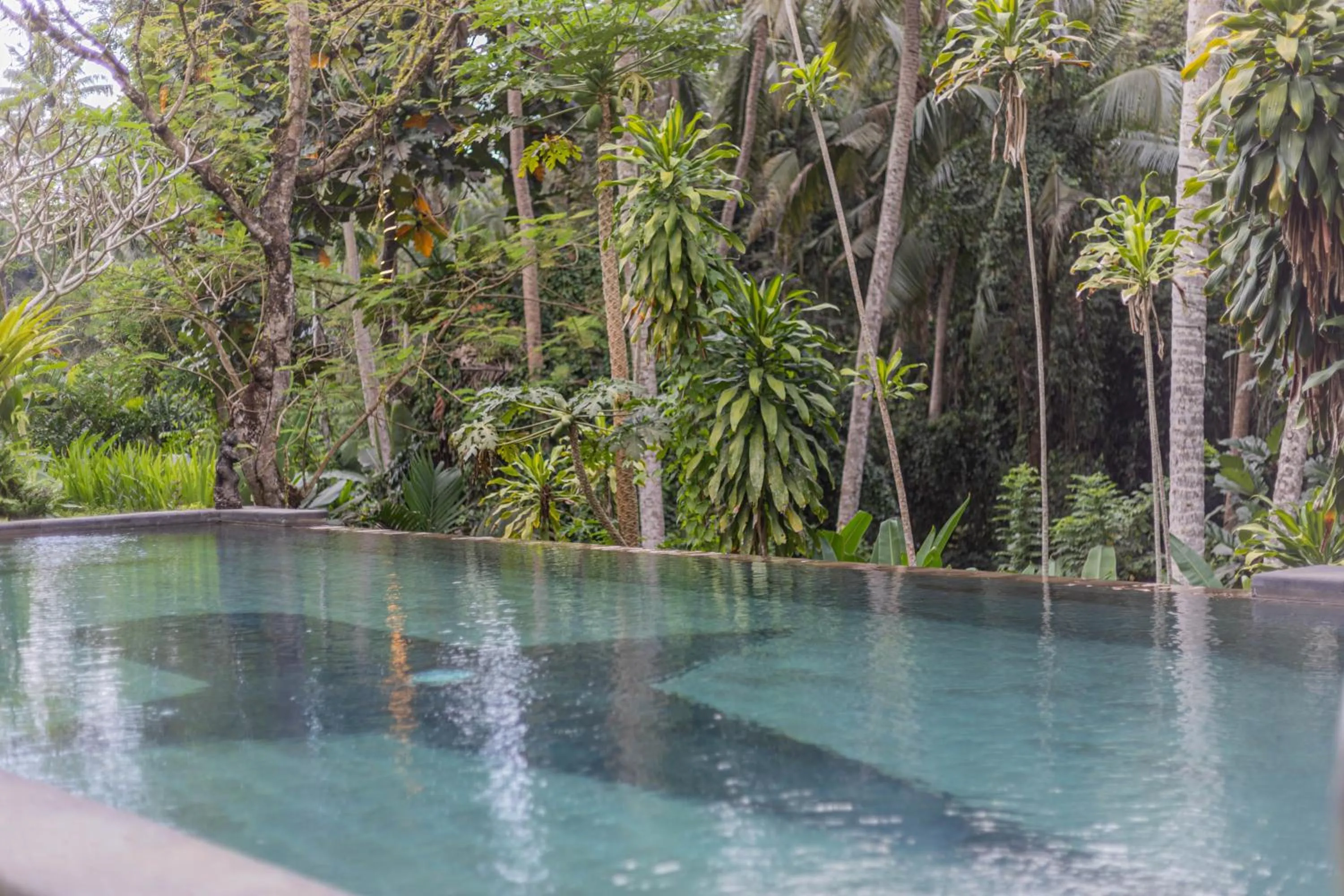 Natural landscape in Suara Air Luxury Villa Ubud