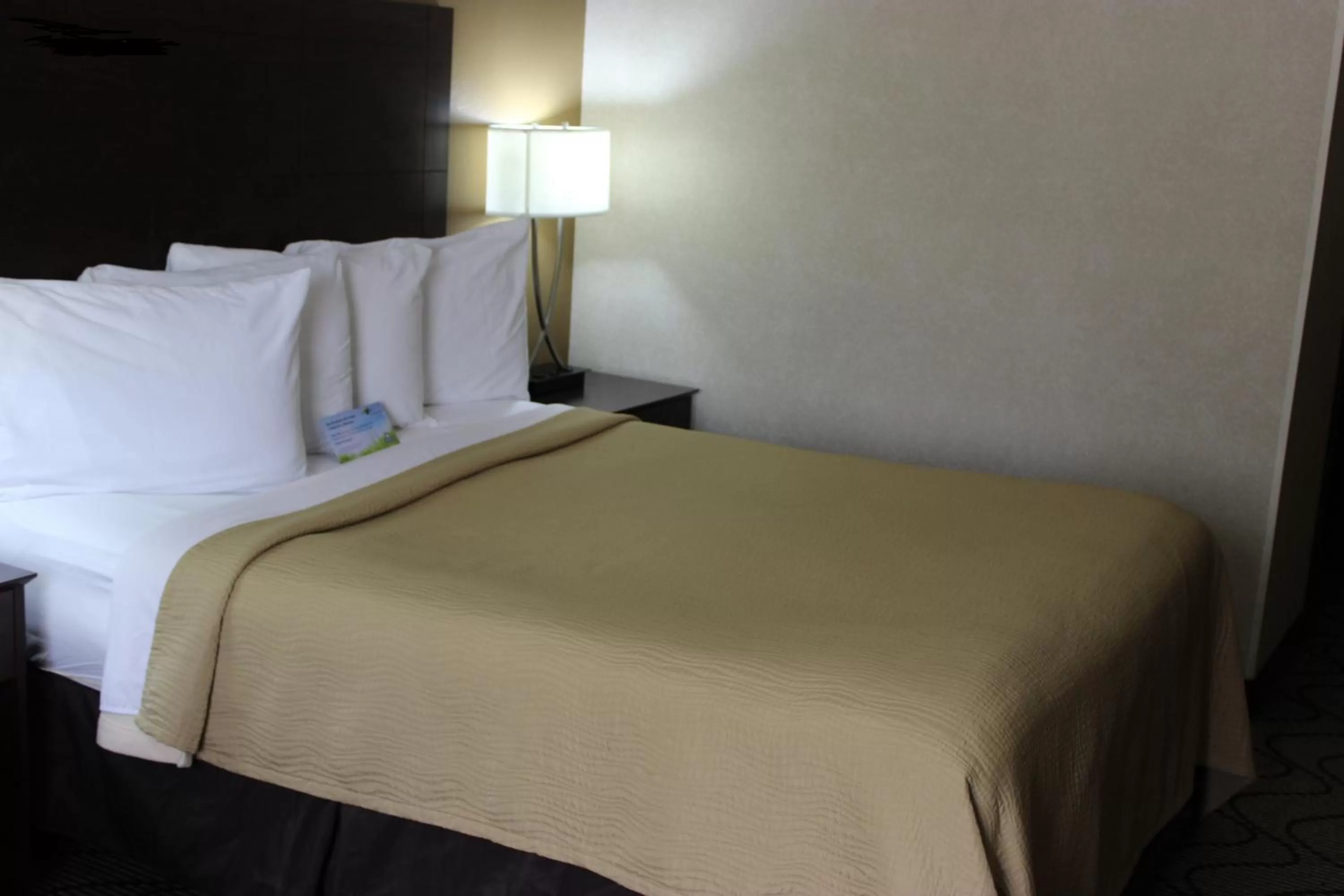 Bed in Days Inn by Wyndham Columbia Mall
