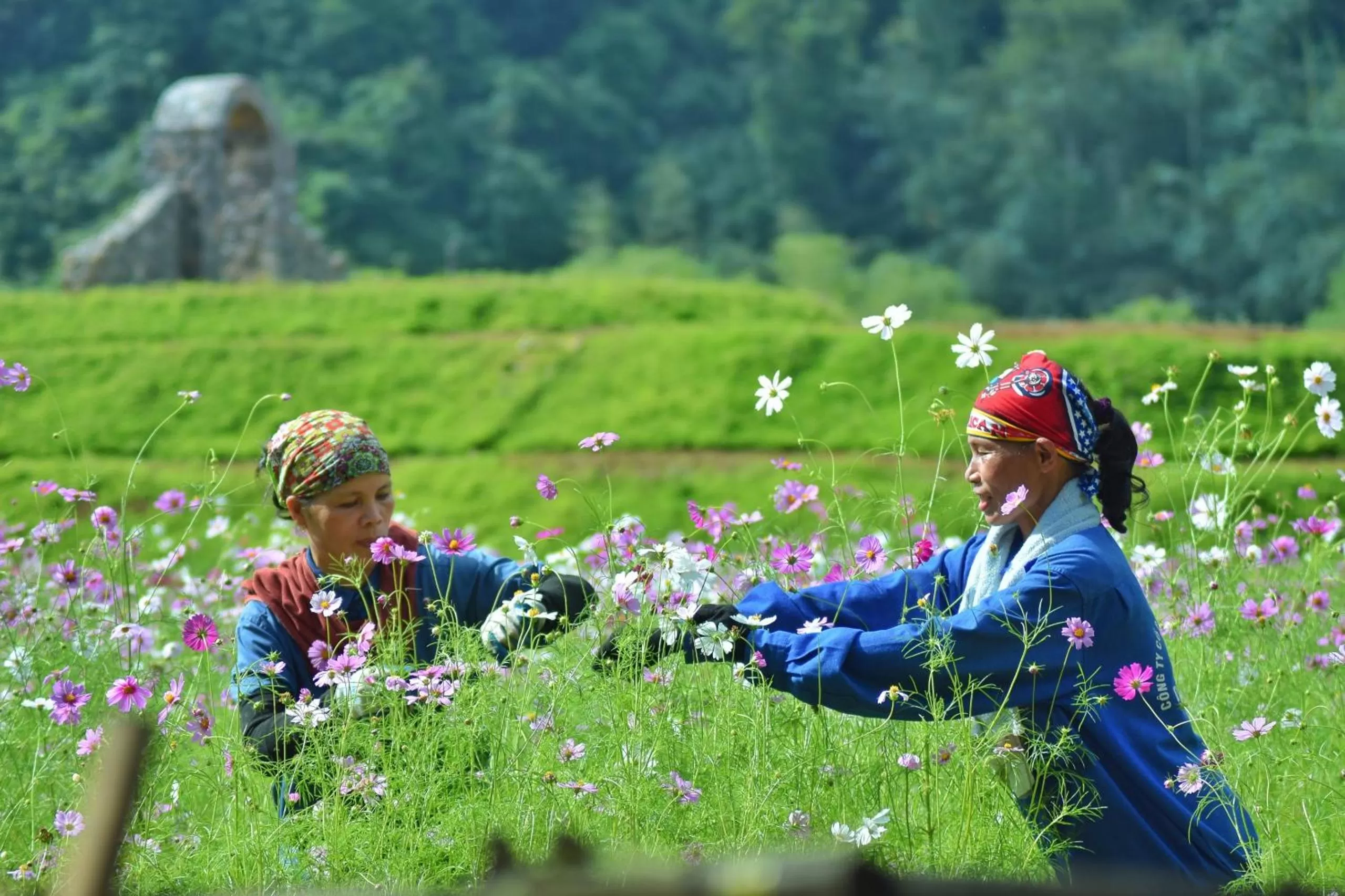 Natural landscape in Thung Nham Resort