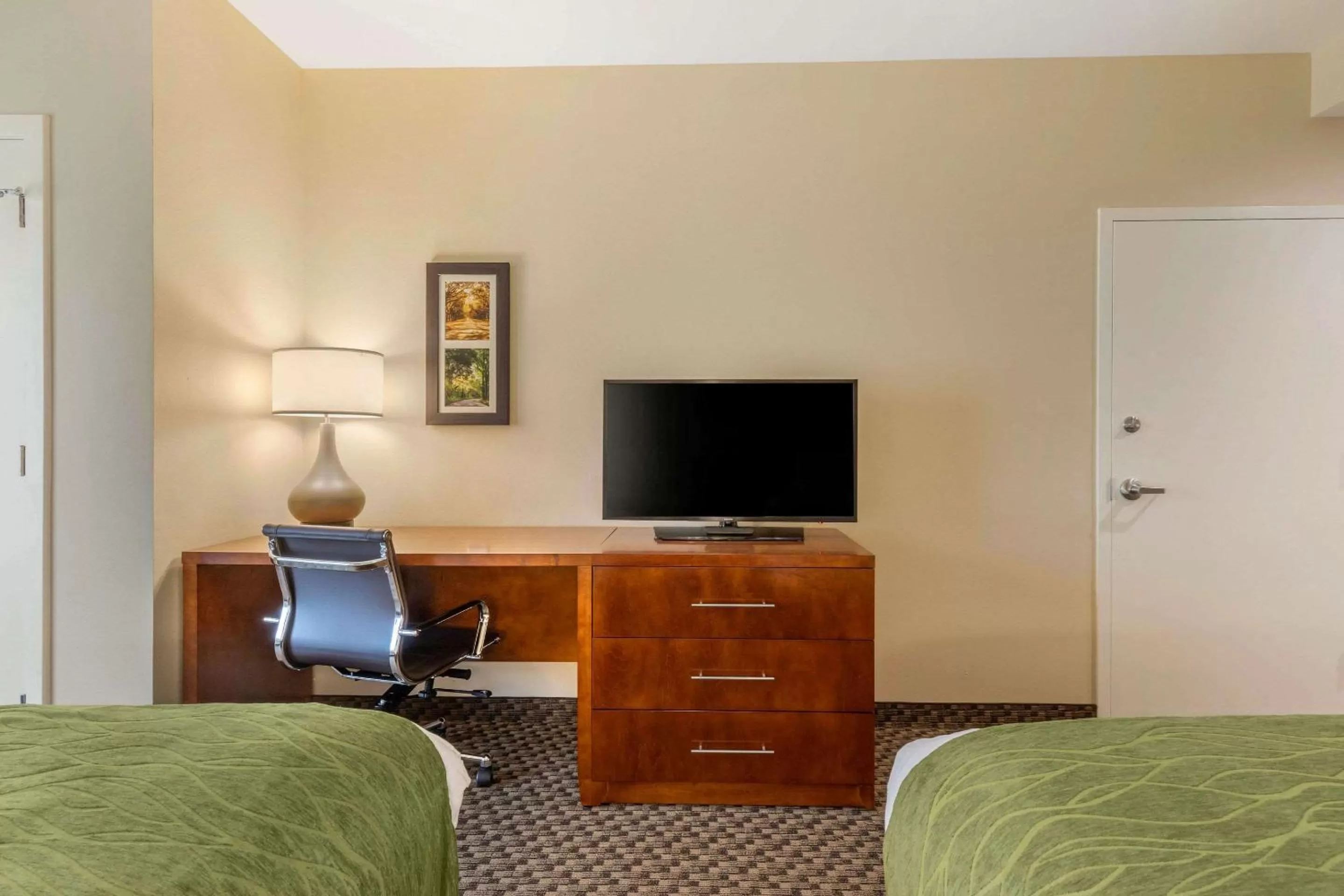 Photo of the whole room in Comfort Inn & Suites Florence Center Area