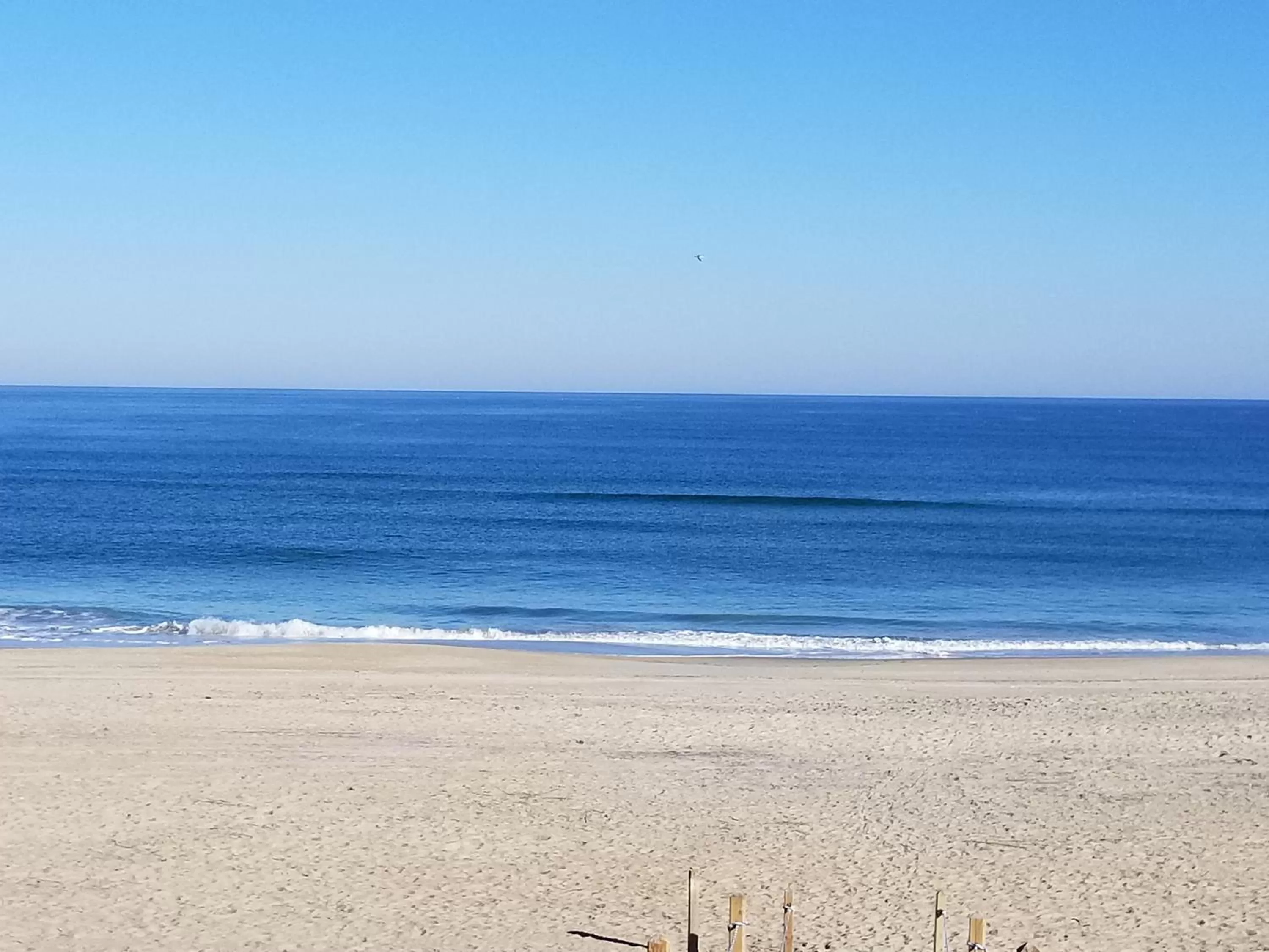 Beach in Ocean Pines Resort