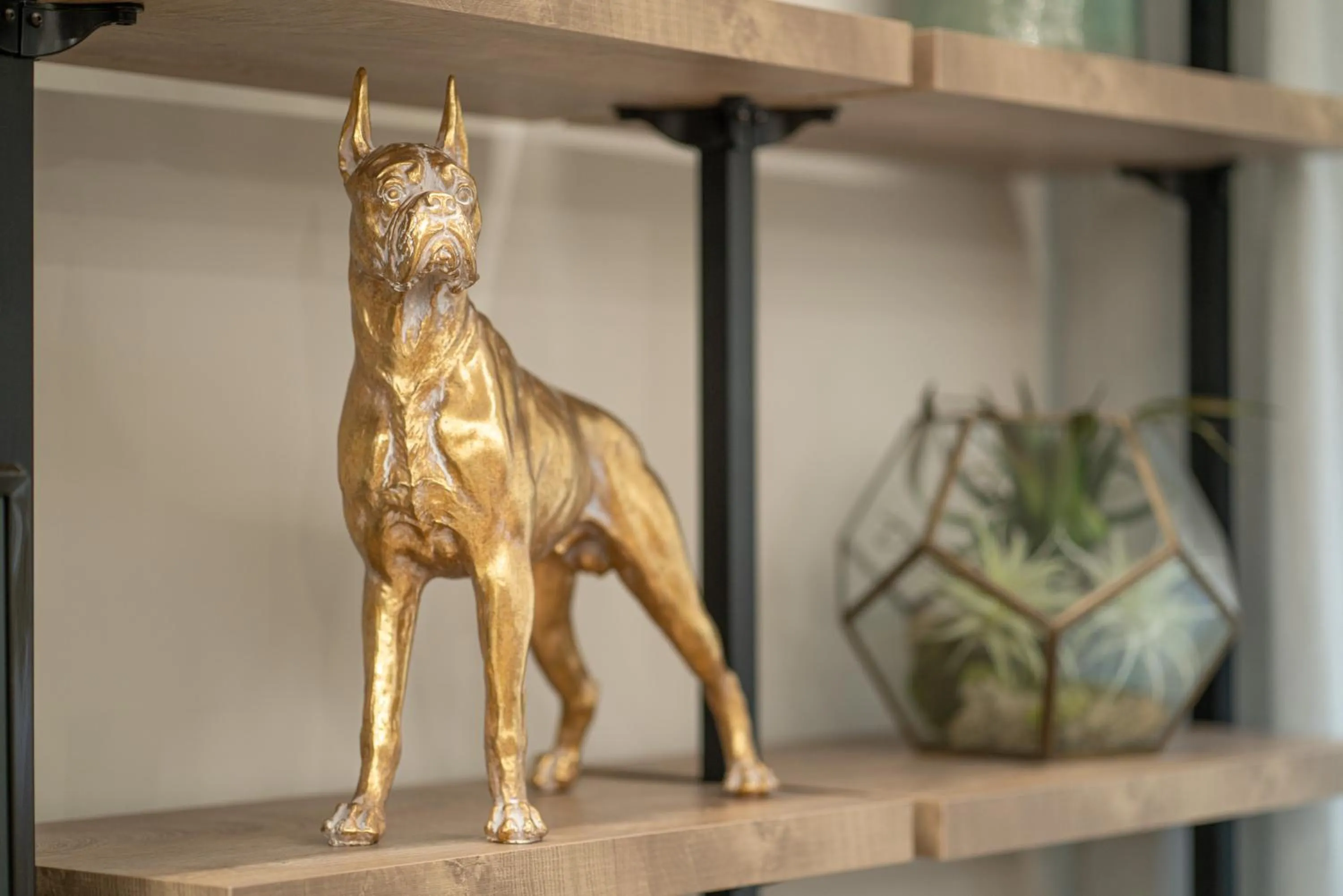 Communal lounge/ TV room in Club Meeting Hotel