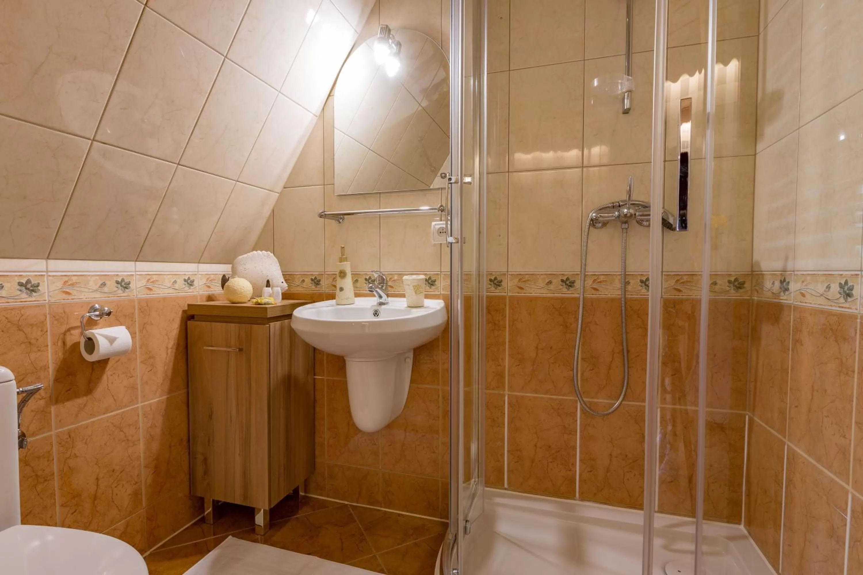 Shower in Willa Góralsko Riwiera