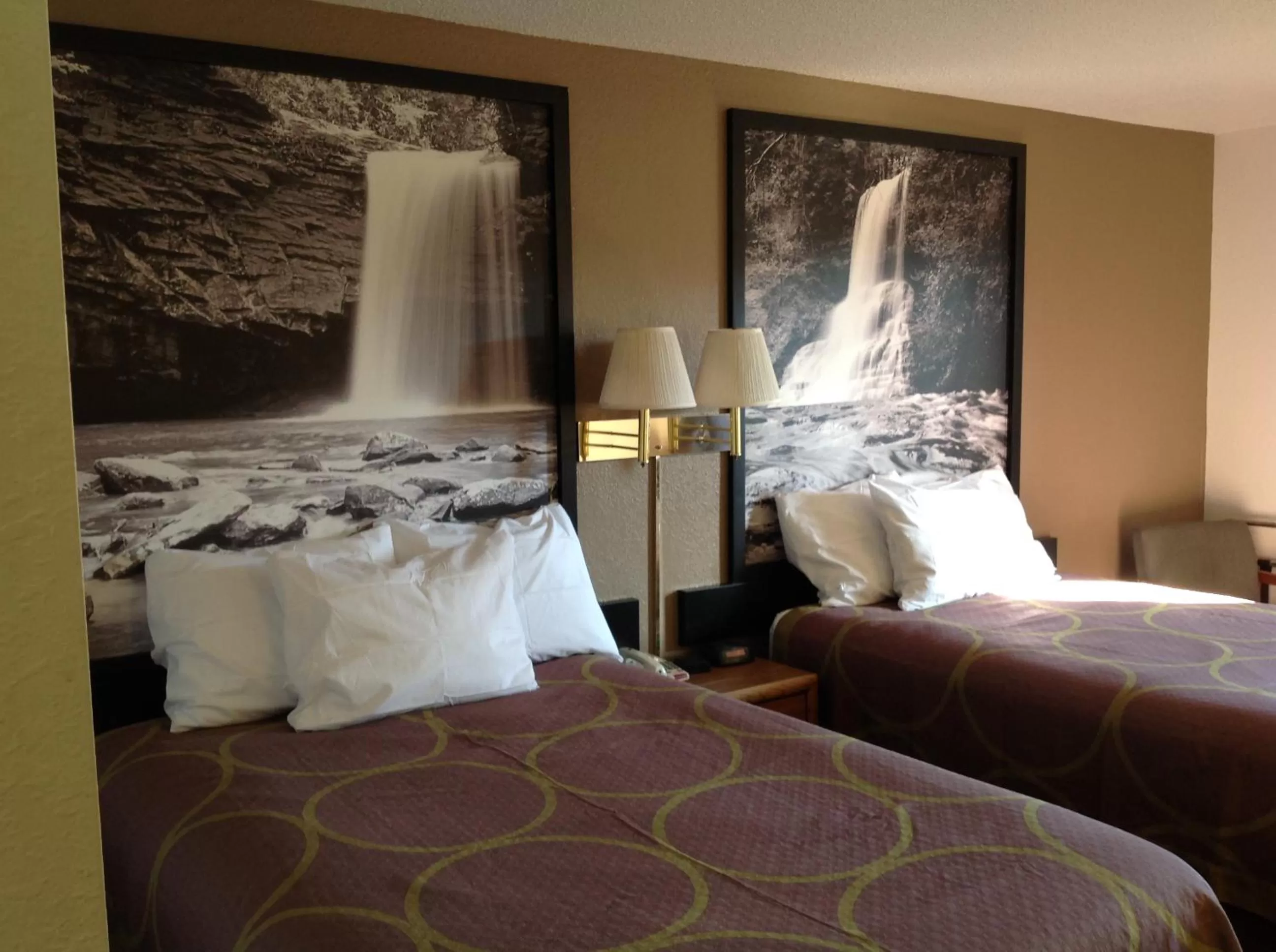 Bed in Super 8 by Wyndham Winchester VA