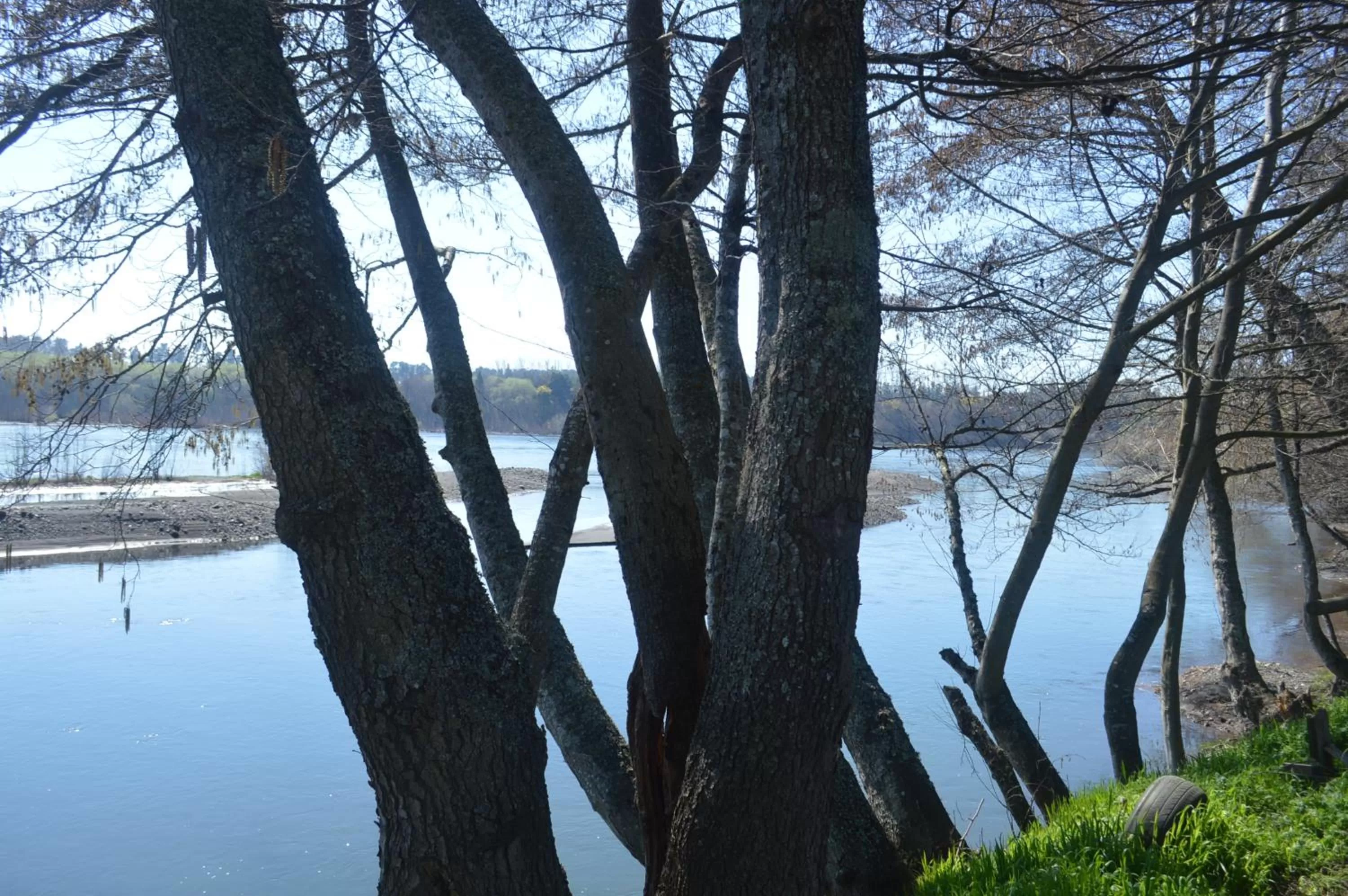 Coyunche Cabañas y Camping Laja & San Rosendo