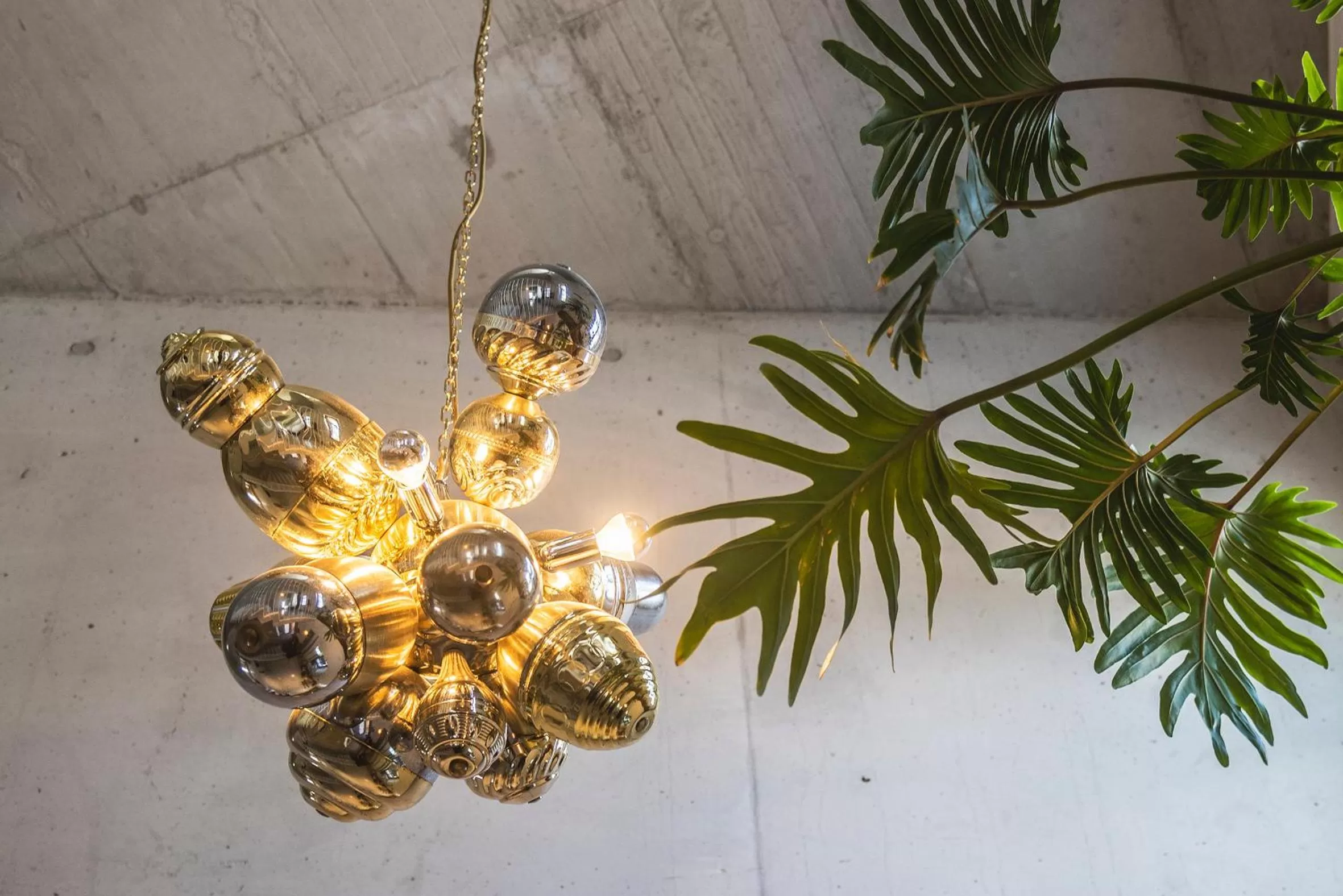 Lobby or reception in pradl elf my- apartment