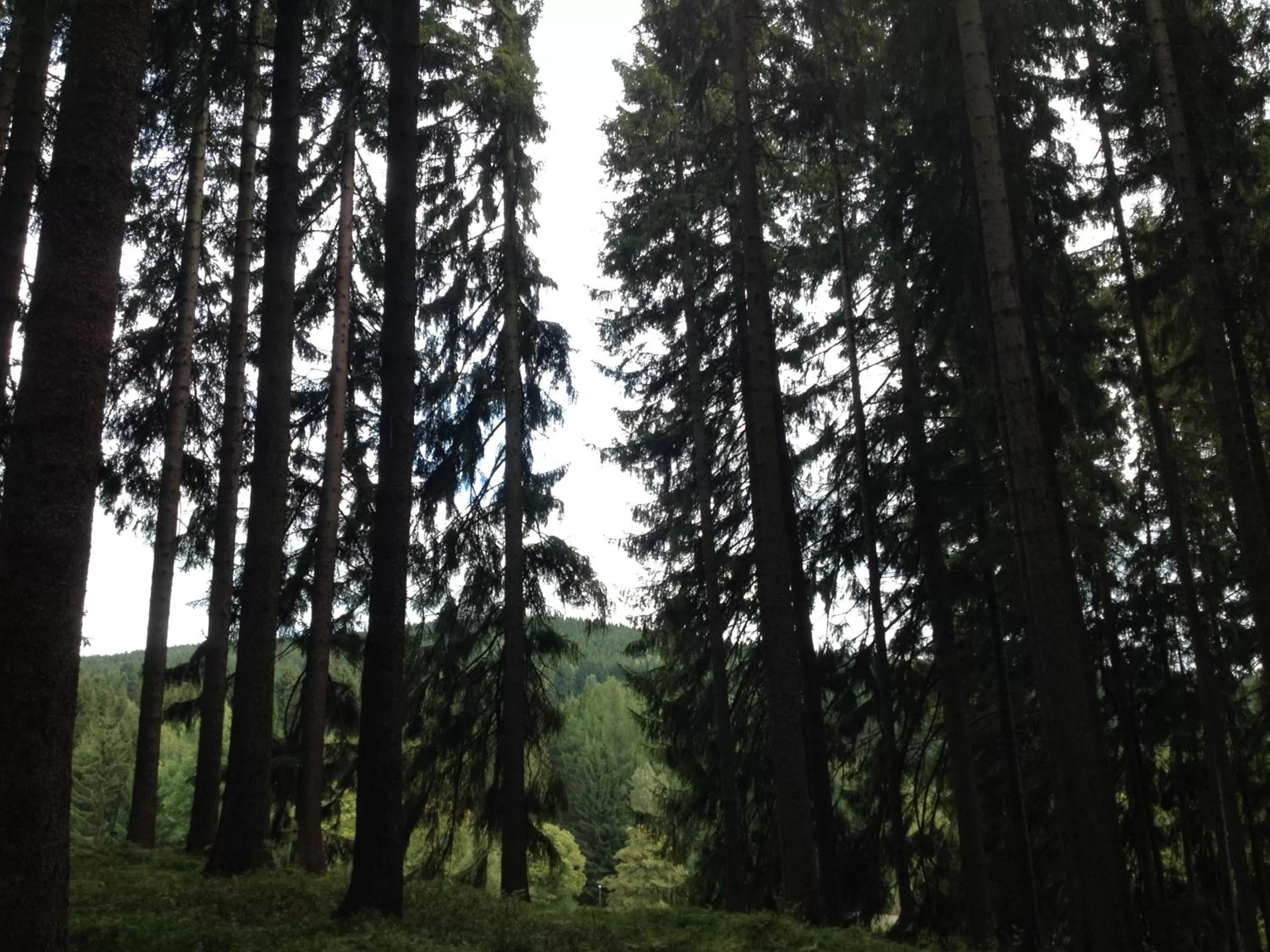 Natural landscape, Winter in Pension U Jelinka