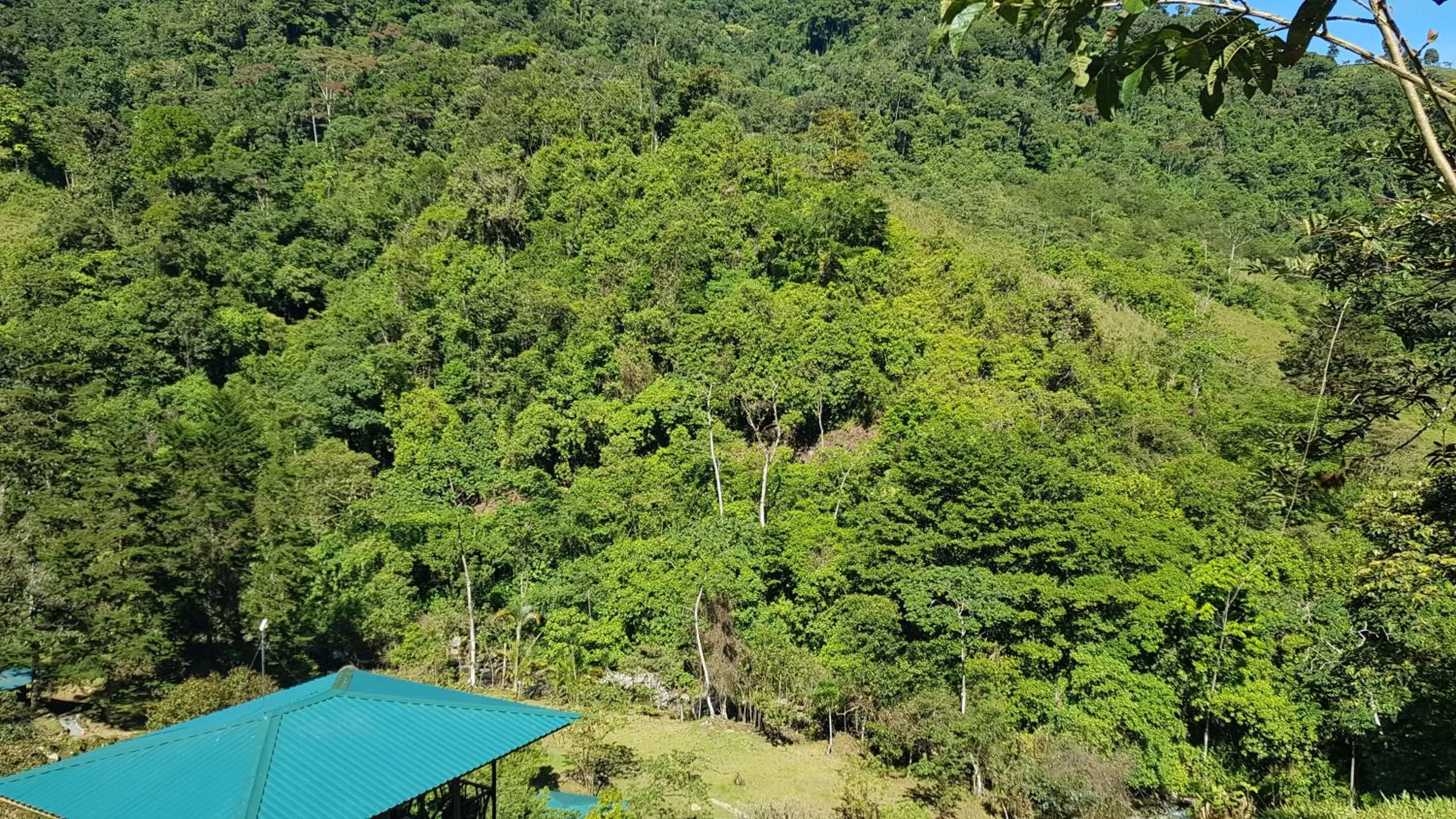 Garden view, Pool View in Hotel Rivel - Adventure & Nature Retreat