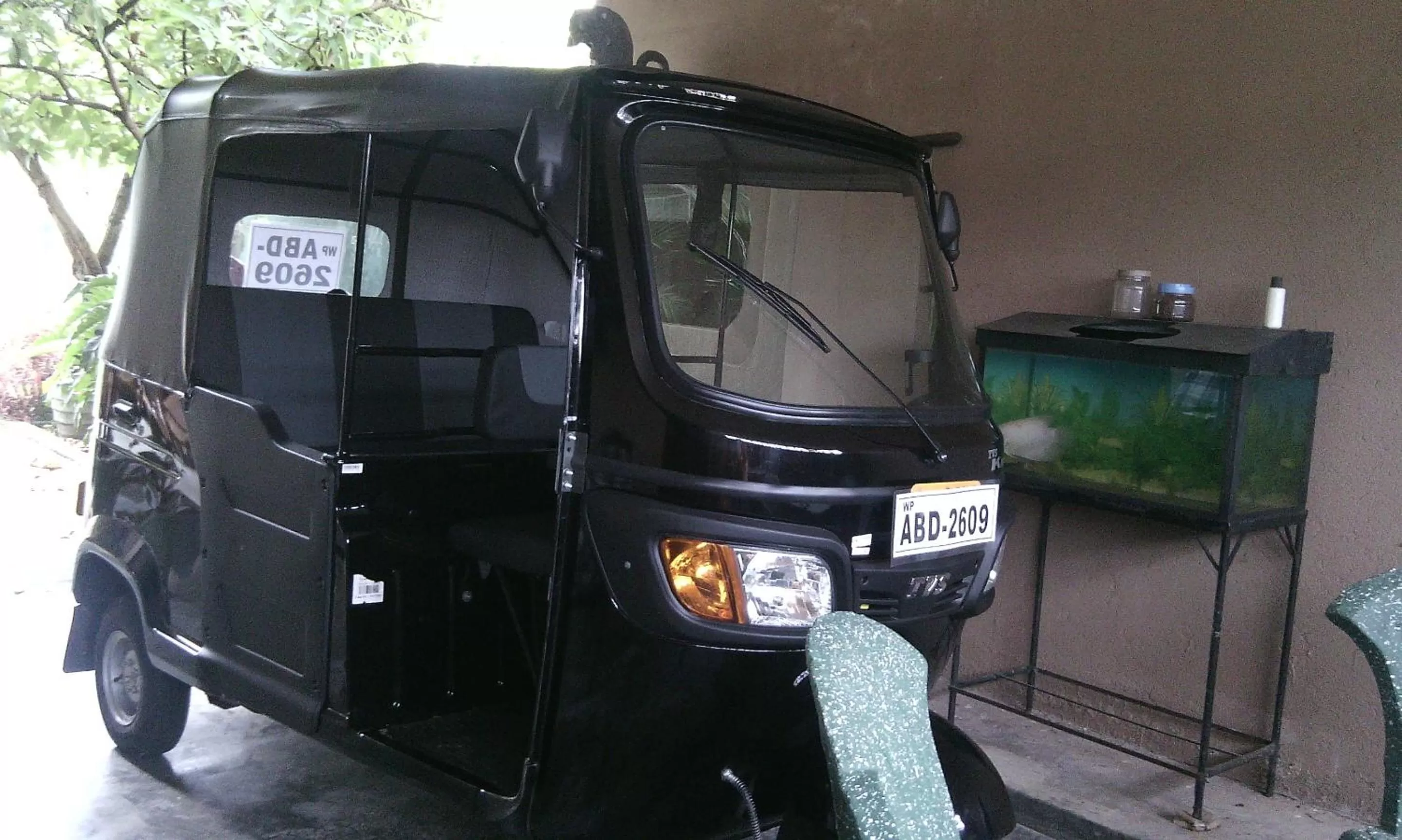 Other in House Of Esanya