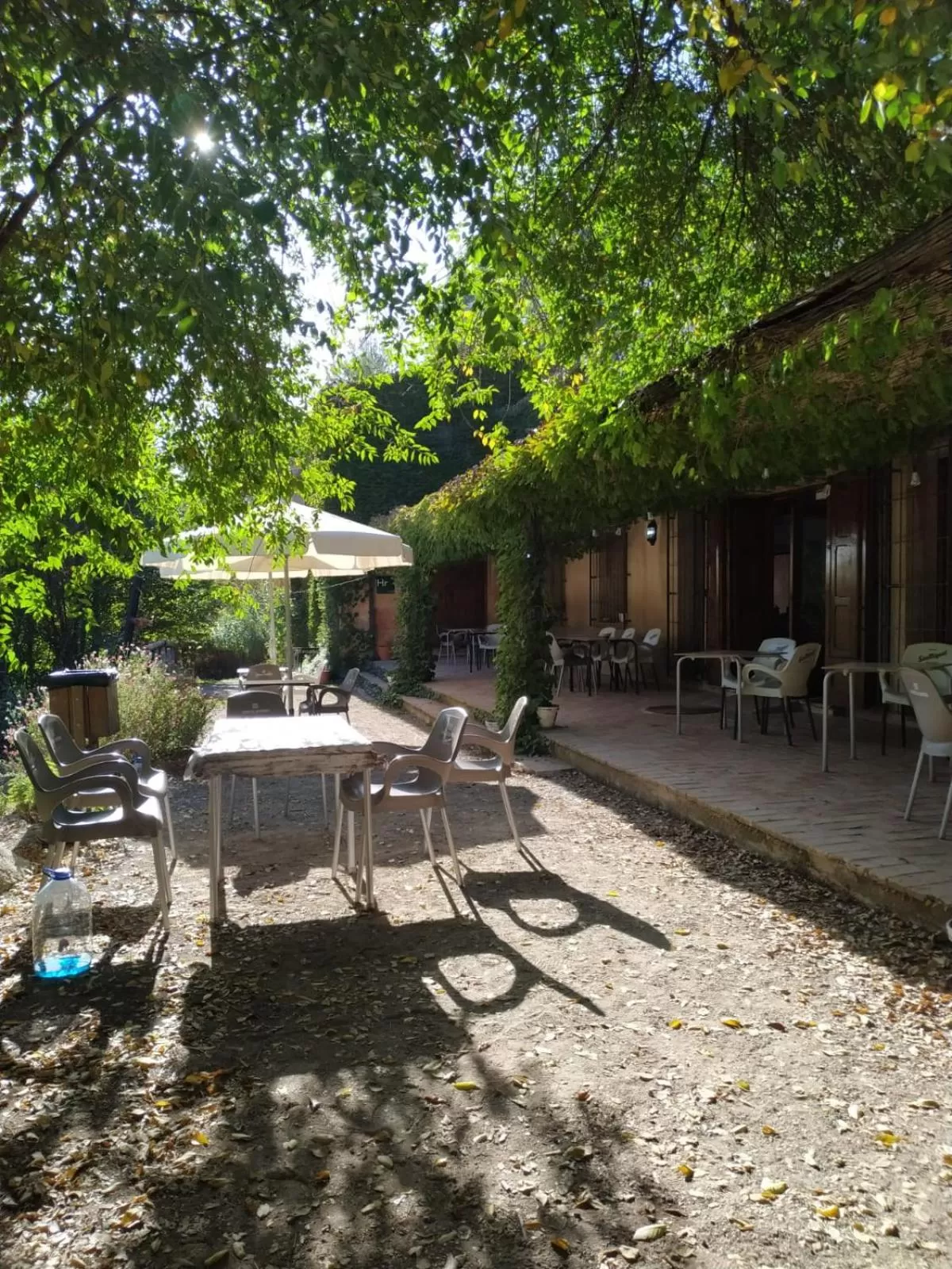 Molino de abajo bullas