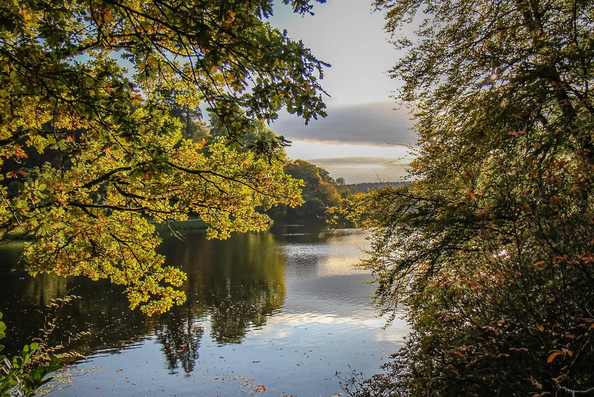 Other in Spread Eagle Inn