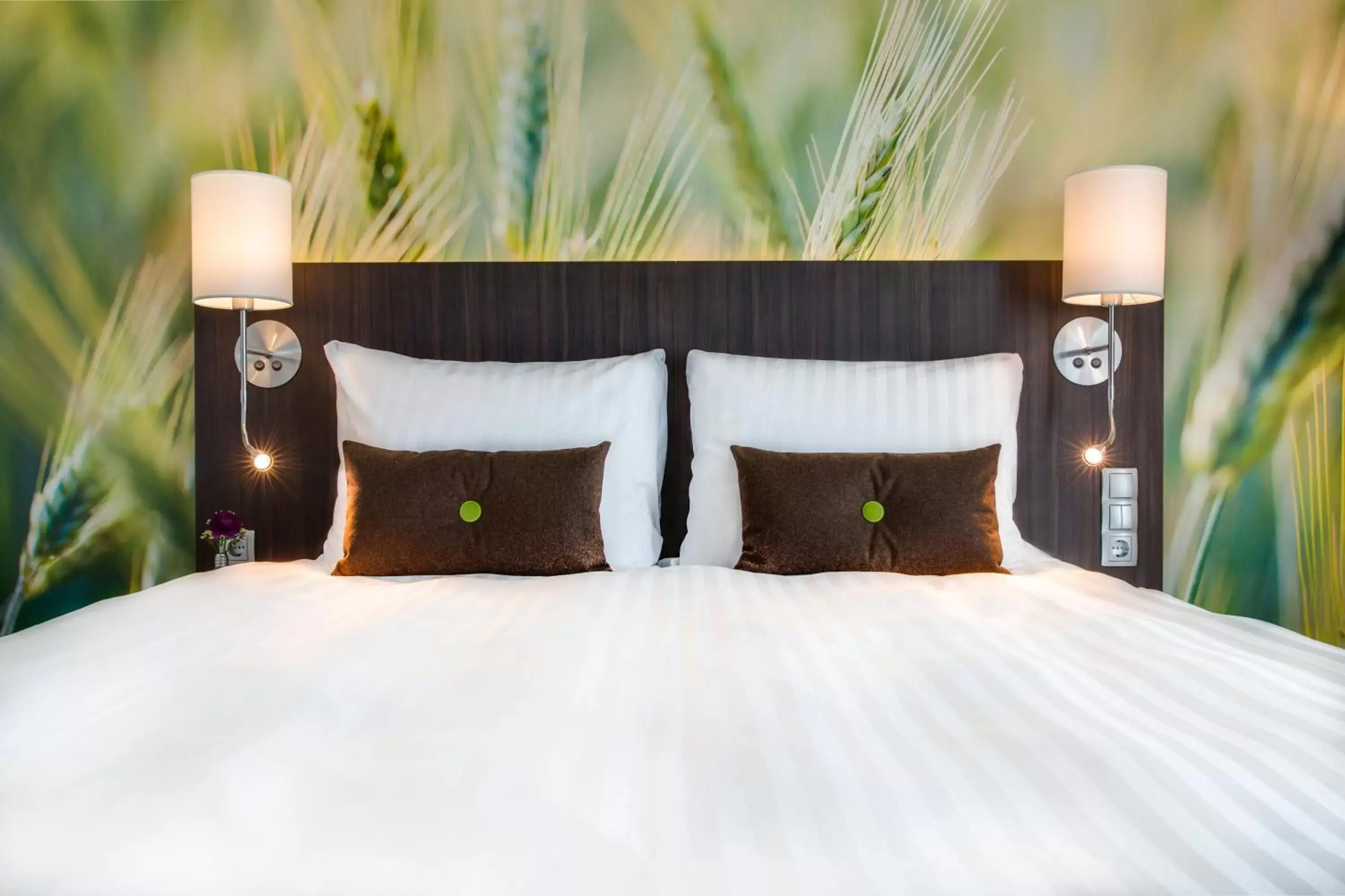 Standard Room in Best Western Plus Park City Lund Standard Room in Best Western Plus Park City Lund