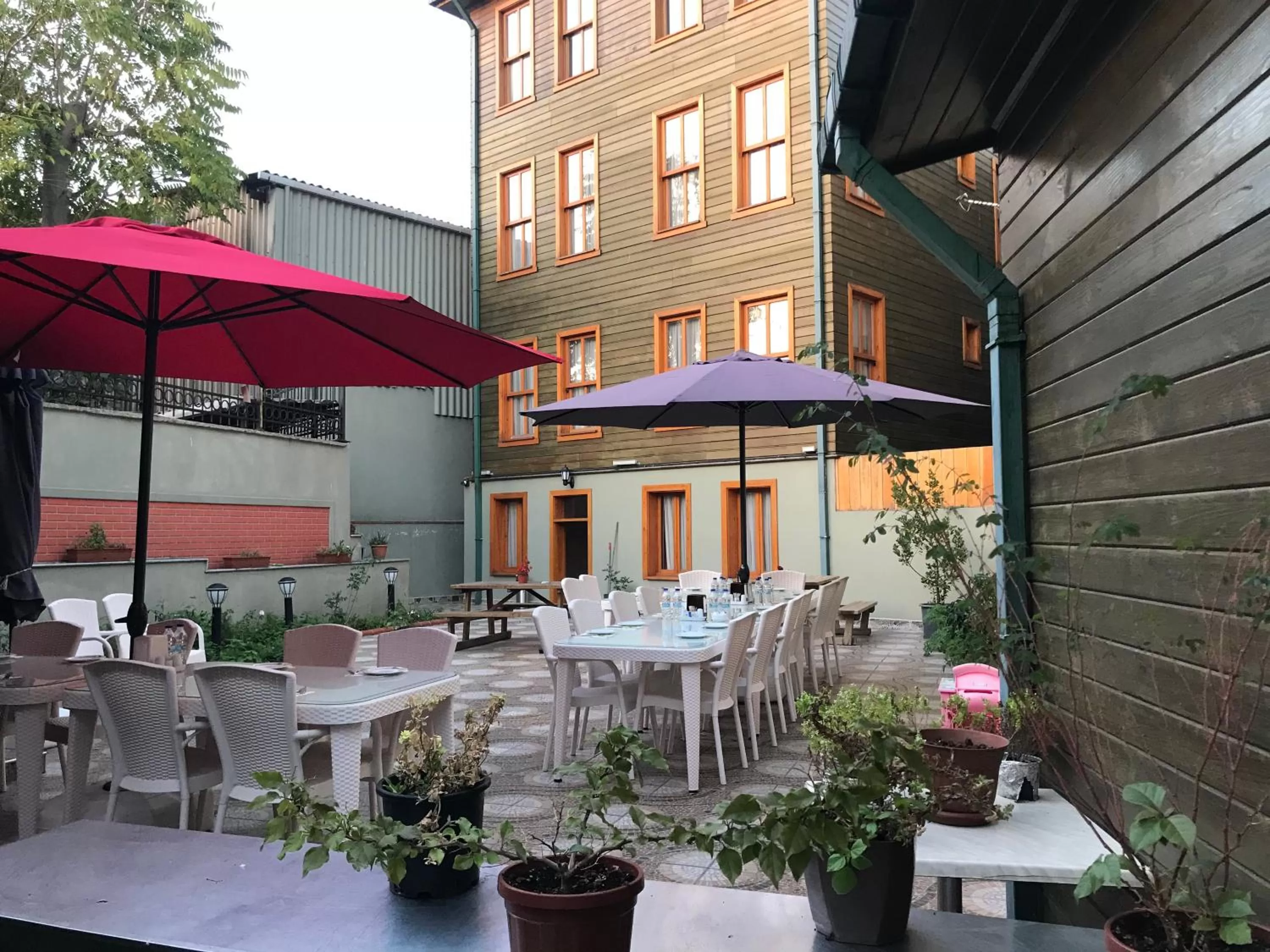 Garden in Green Mansion