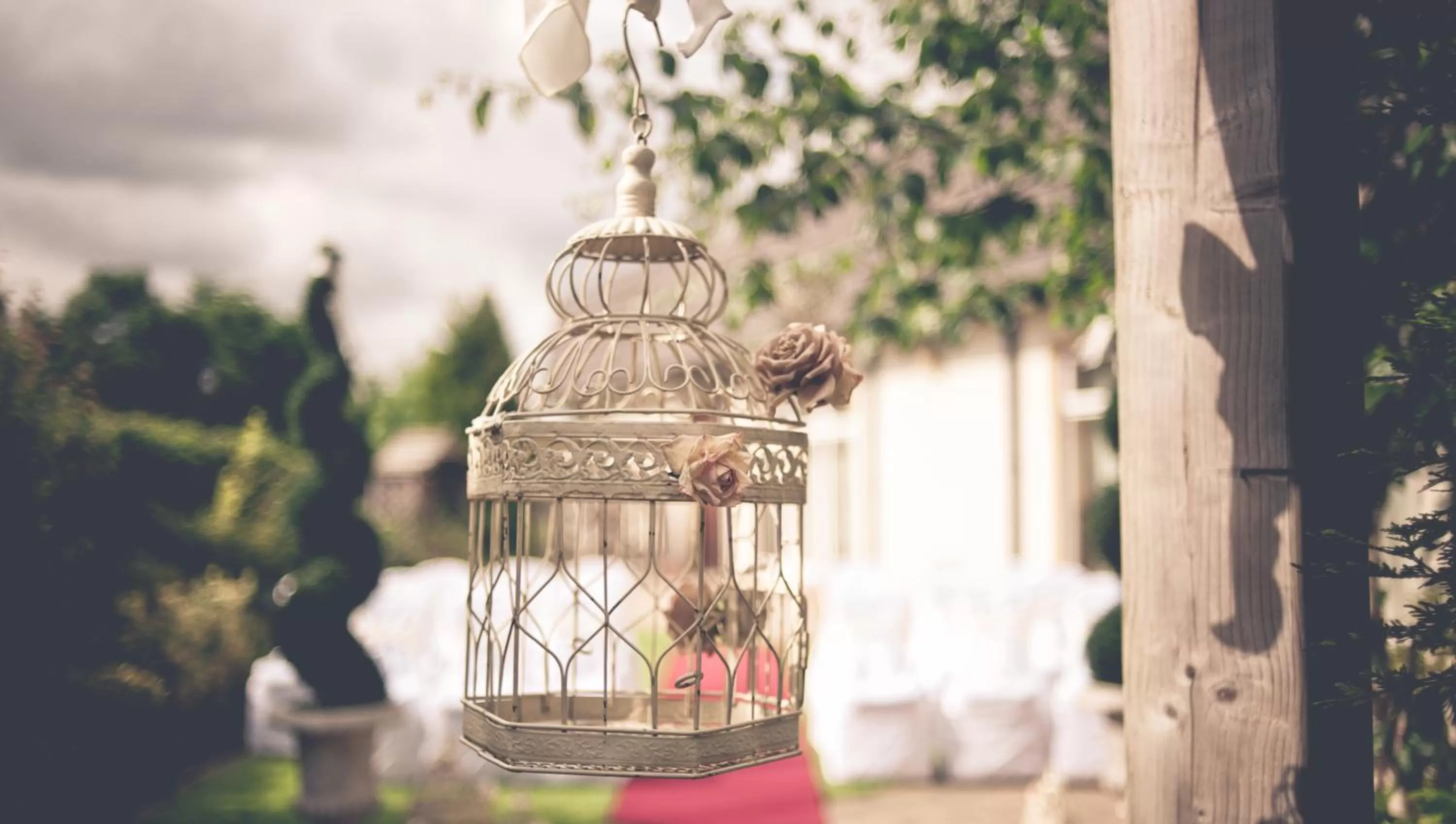 Day in Dunsilly Hotel