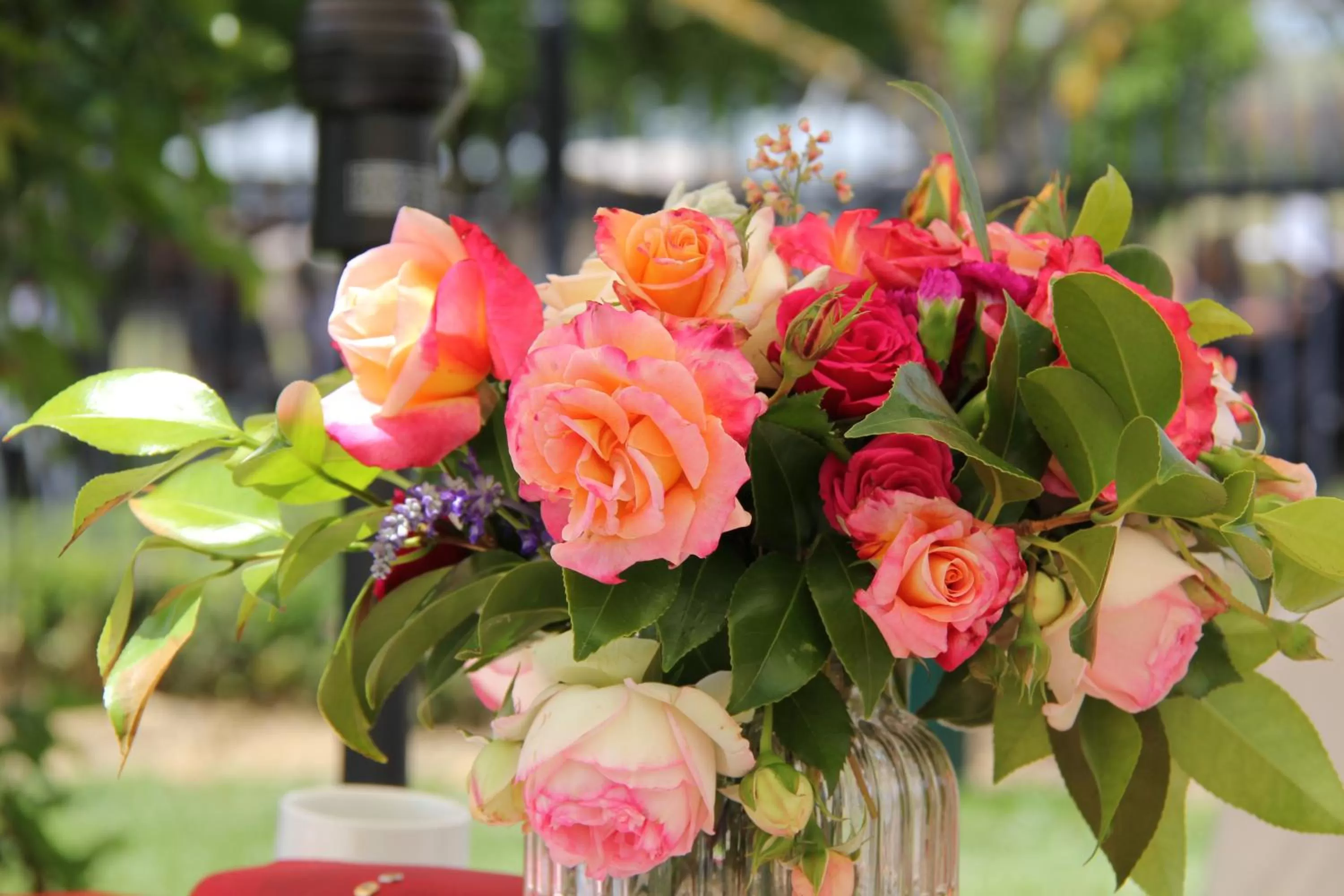 Historic Merryville Homestead