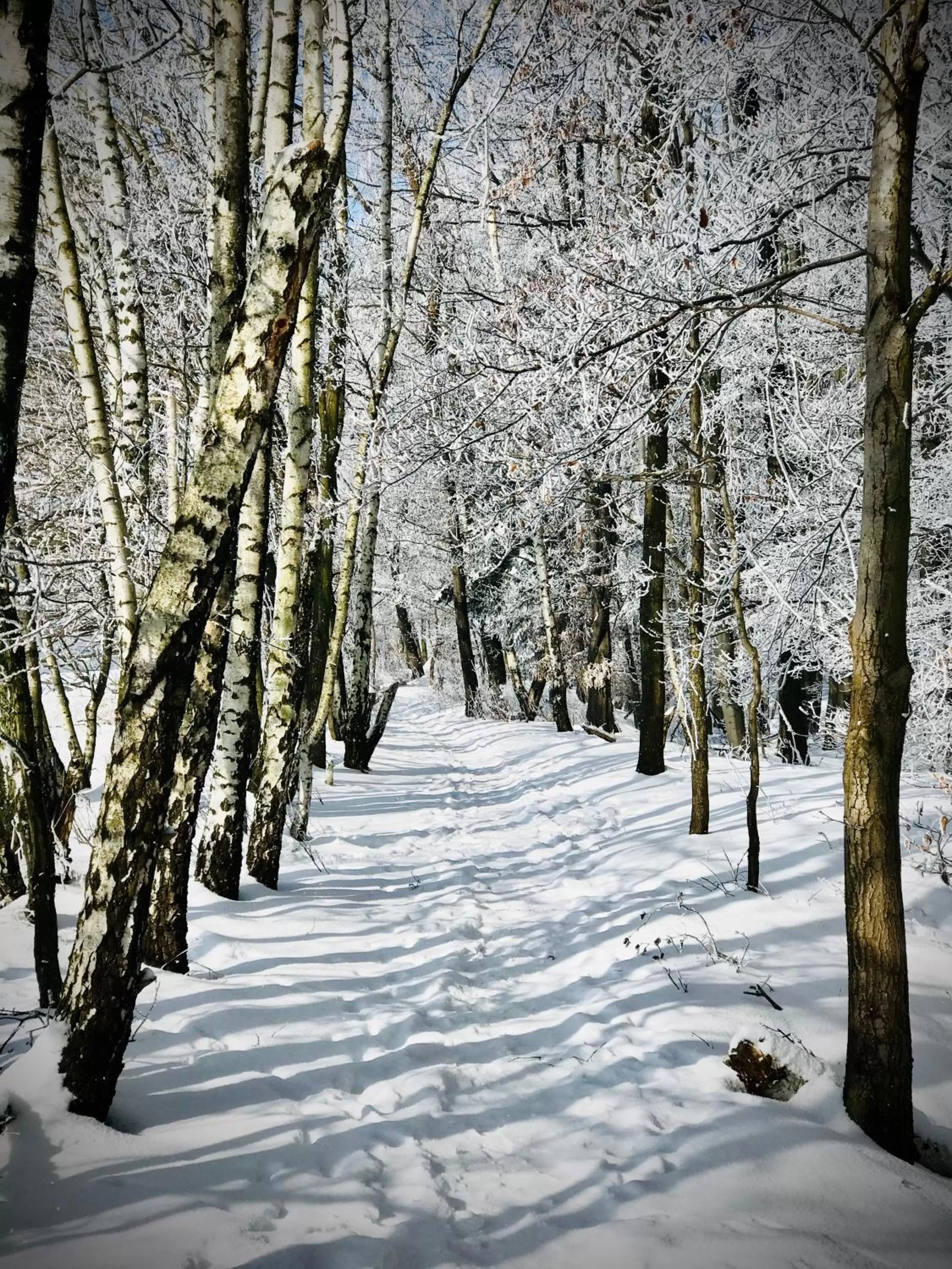 HARABURDI® Recyclart Hotel