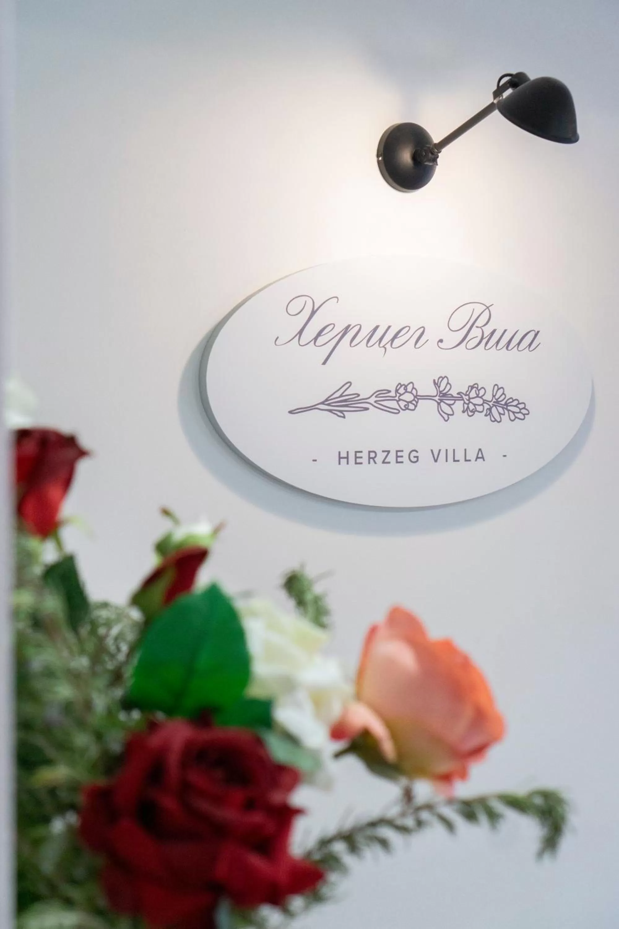 Property logo or sign in Herceg Vila