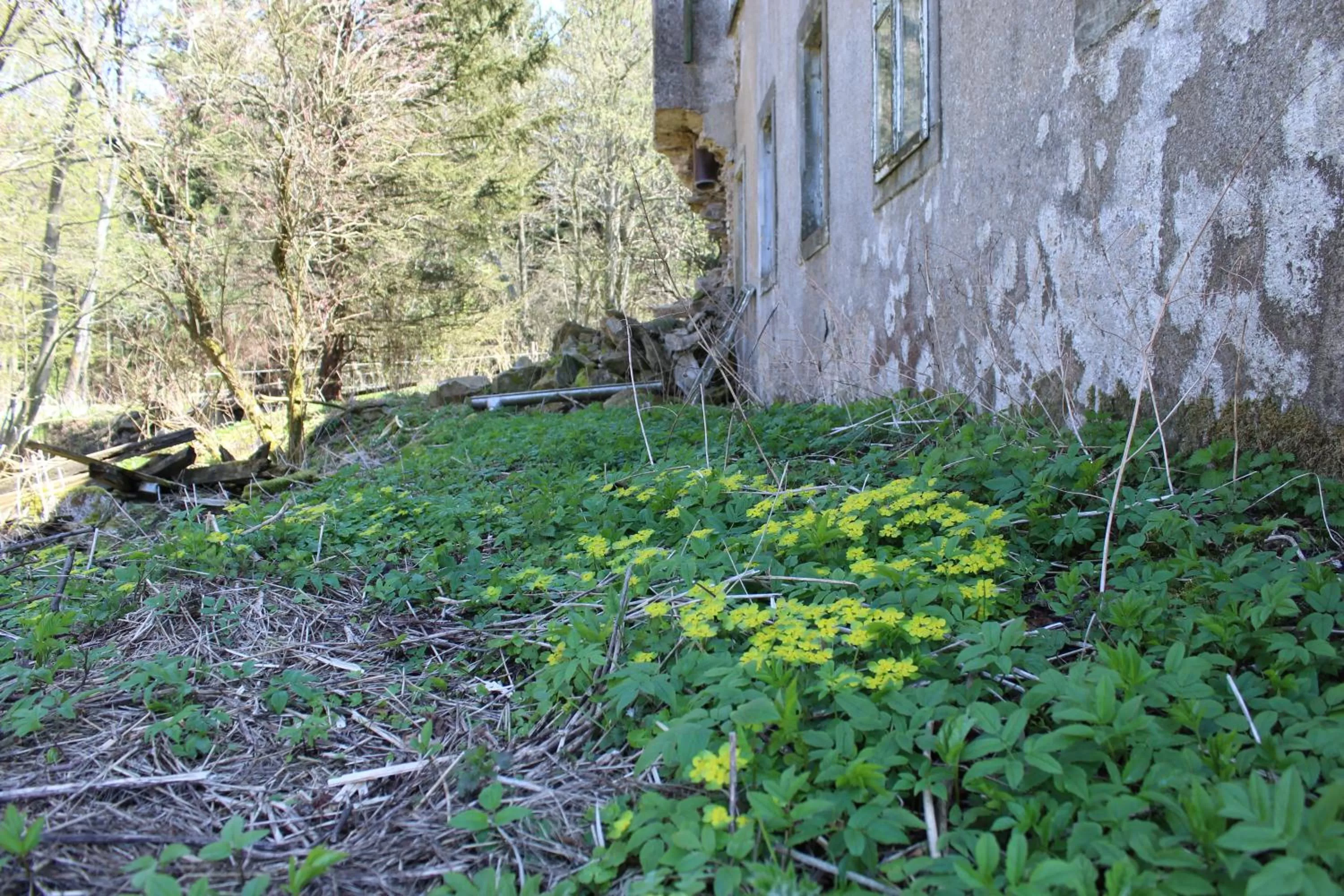 Natural Landscape in Waldgasthof Bad Einsiedel