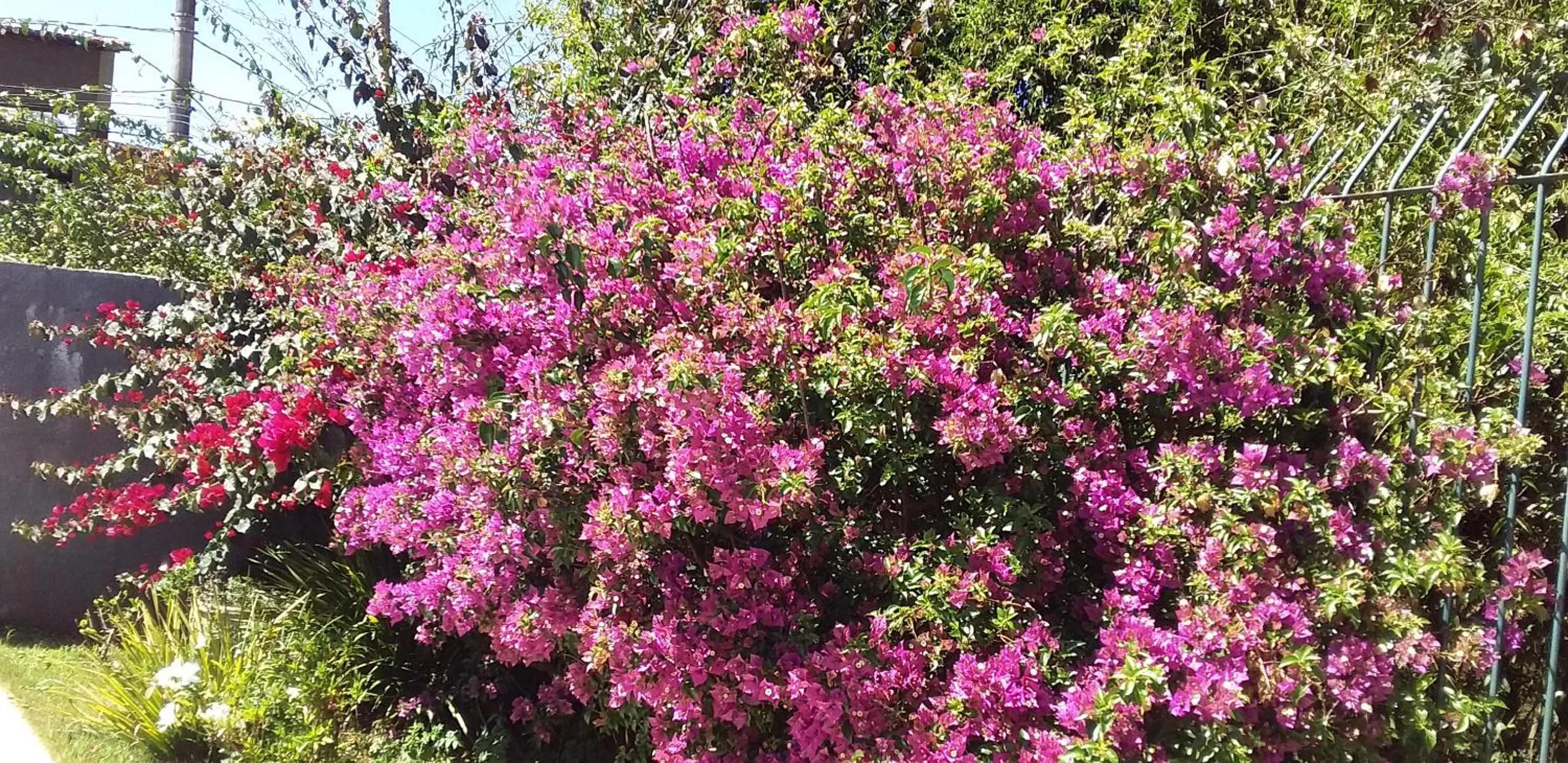 Pousada Vila Real Flats