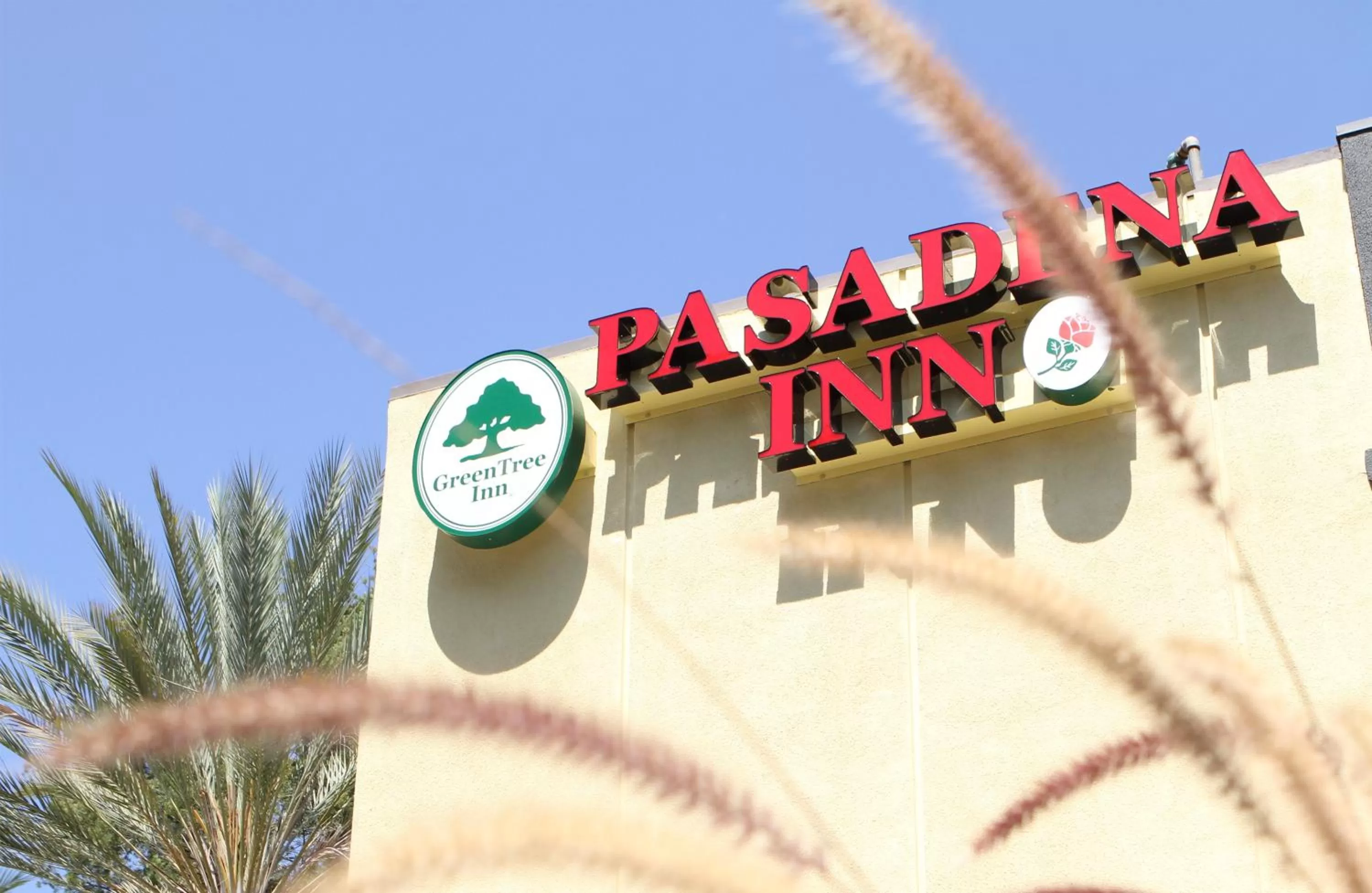 Day in GreenTree Pasadena