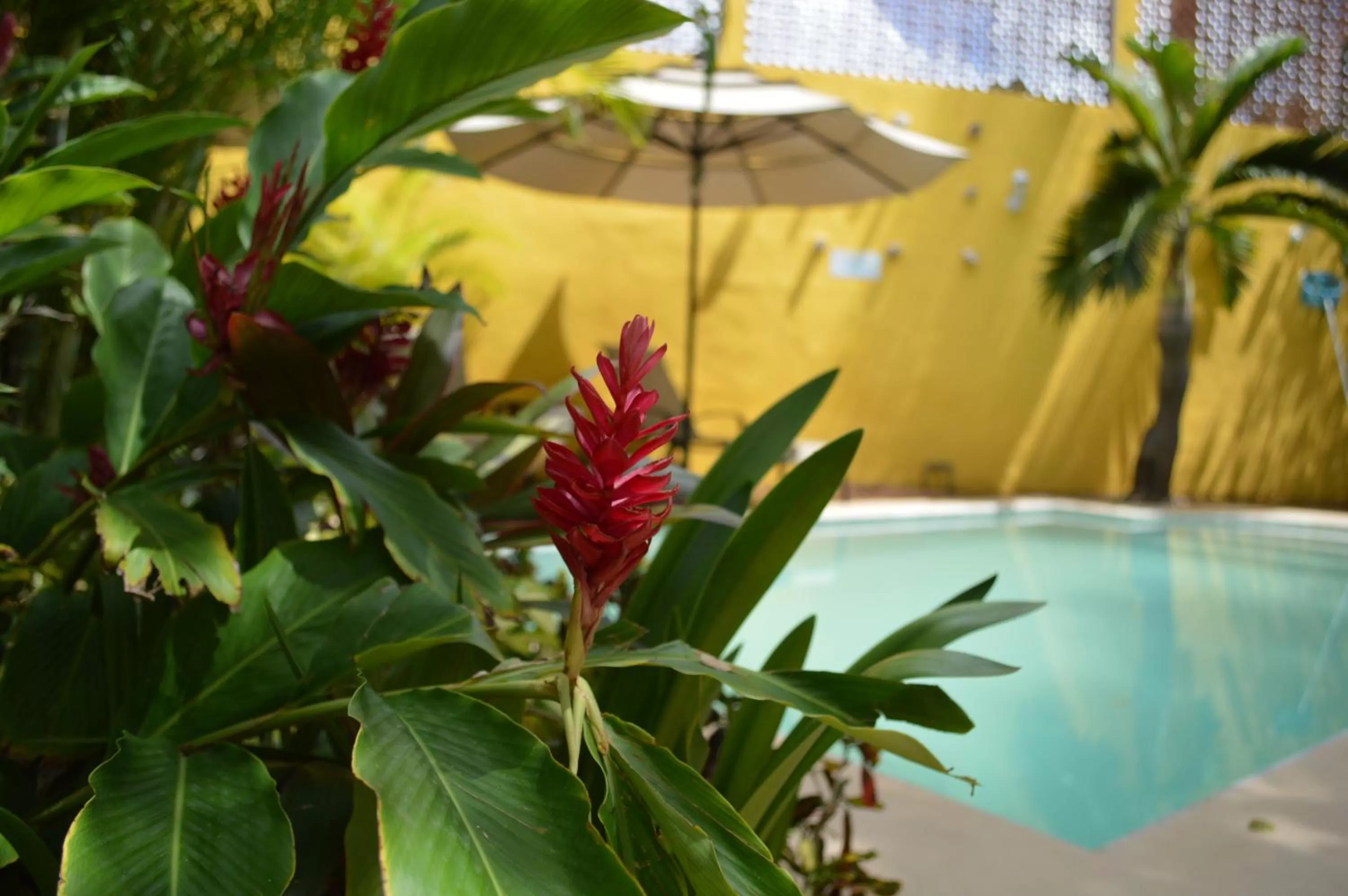 Patio in Hotel Marionetas