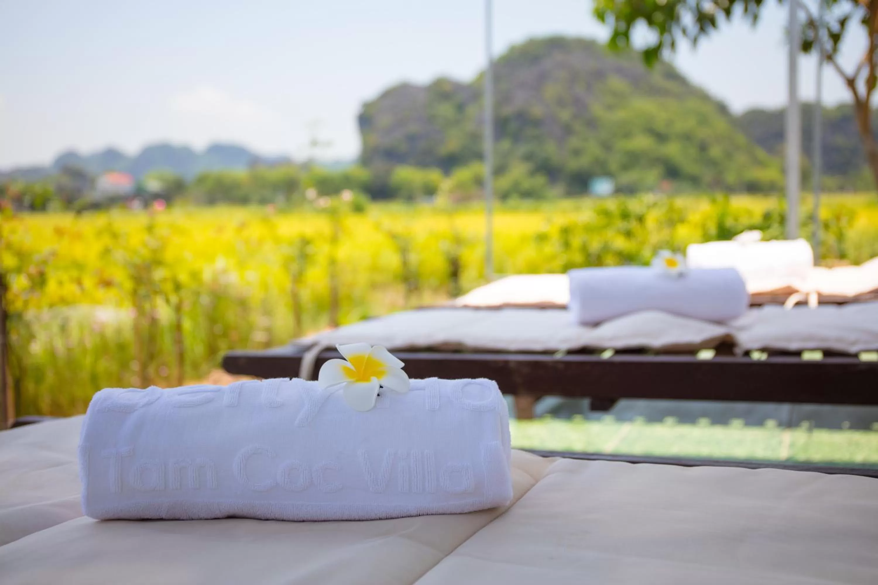 Swimming pool in Liberty Hall Tam Coc Hotel & Villa