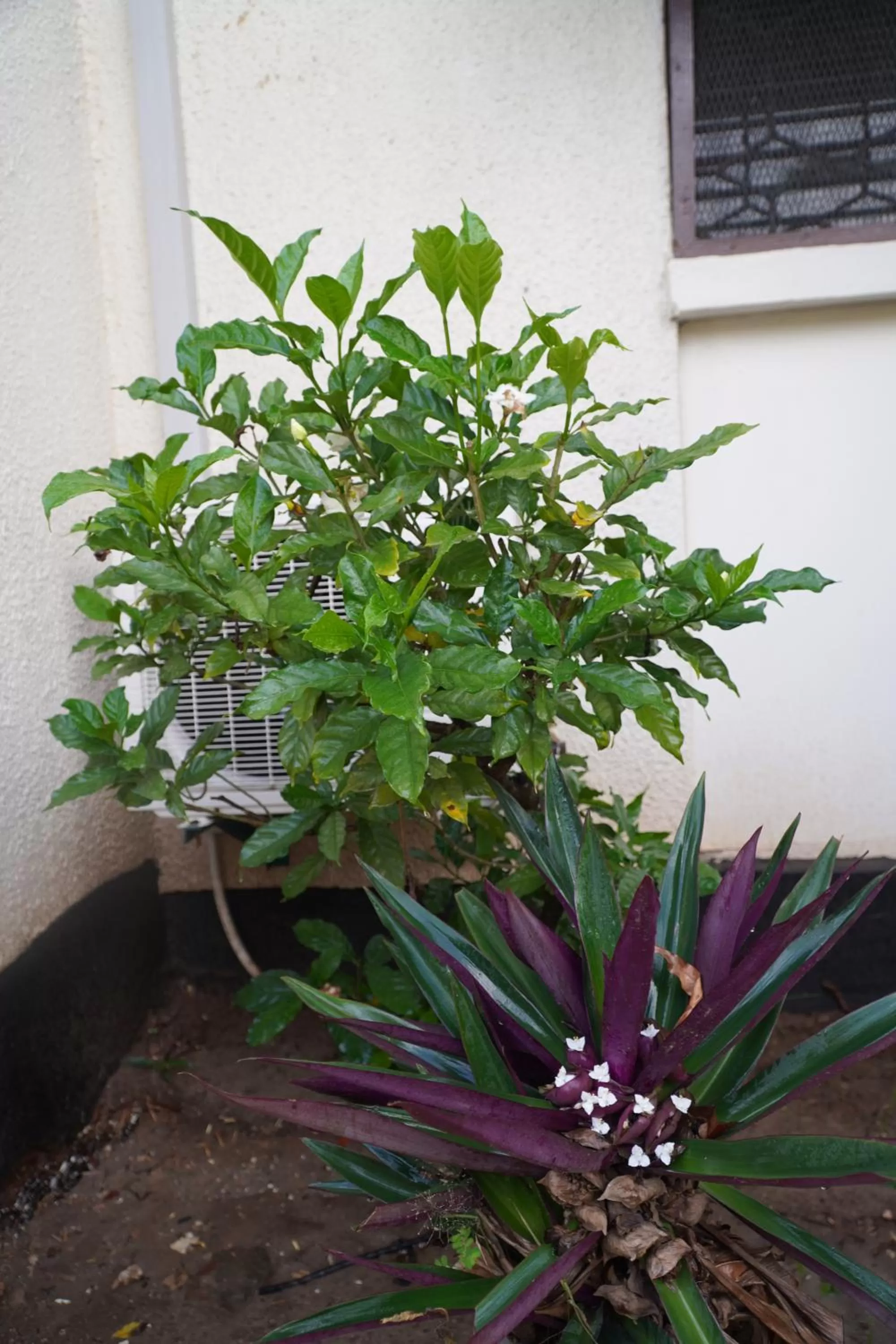 L&J Modern Backpackers Kinondoni