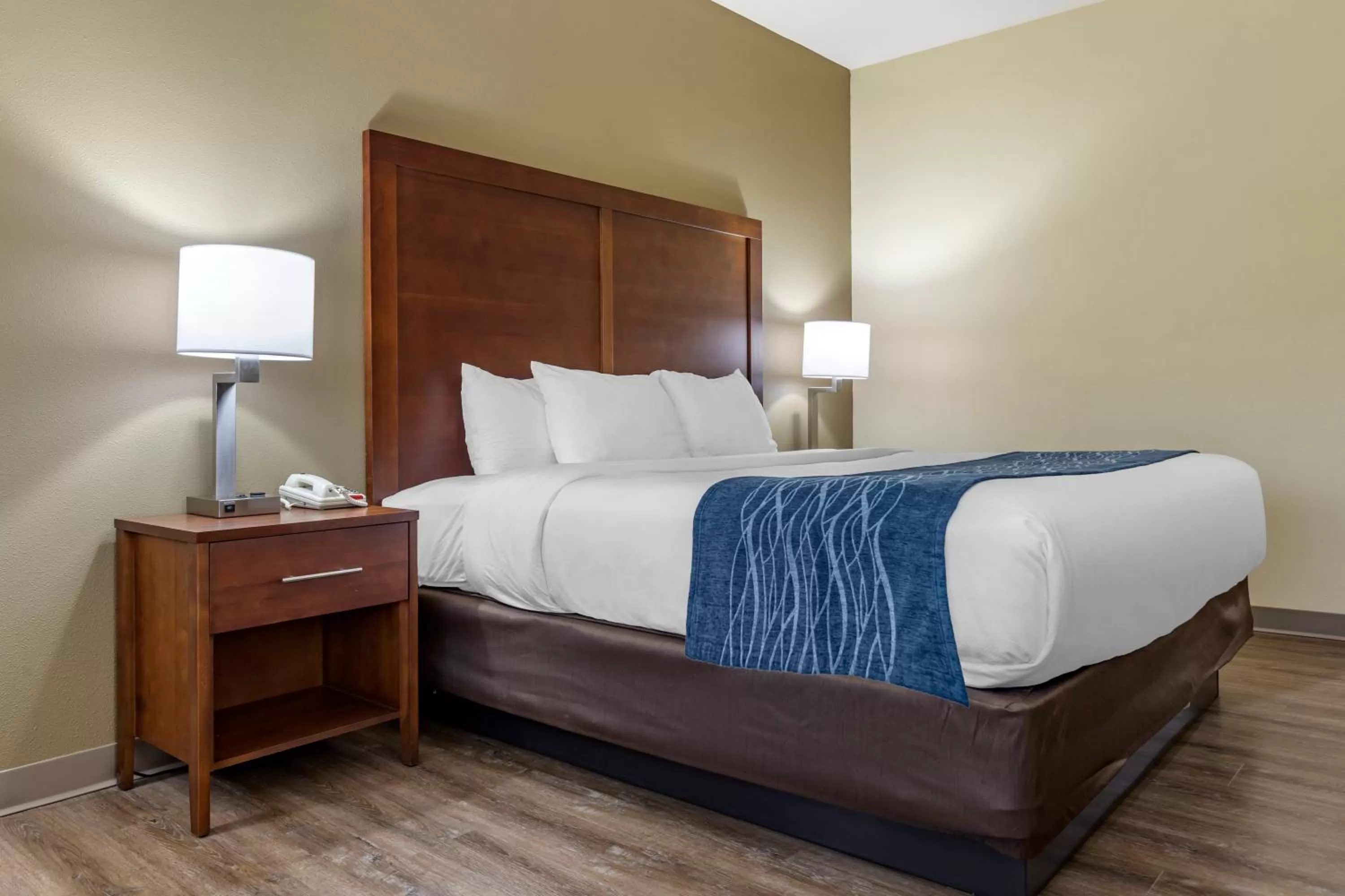 King Room with Roll-In Shower - Accessible/Non-Smoking in Comfort Inn & Suites High Point - Archdale