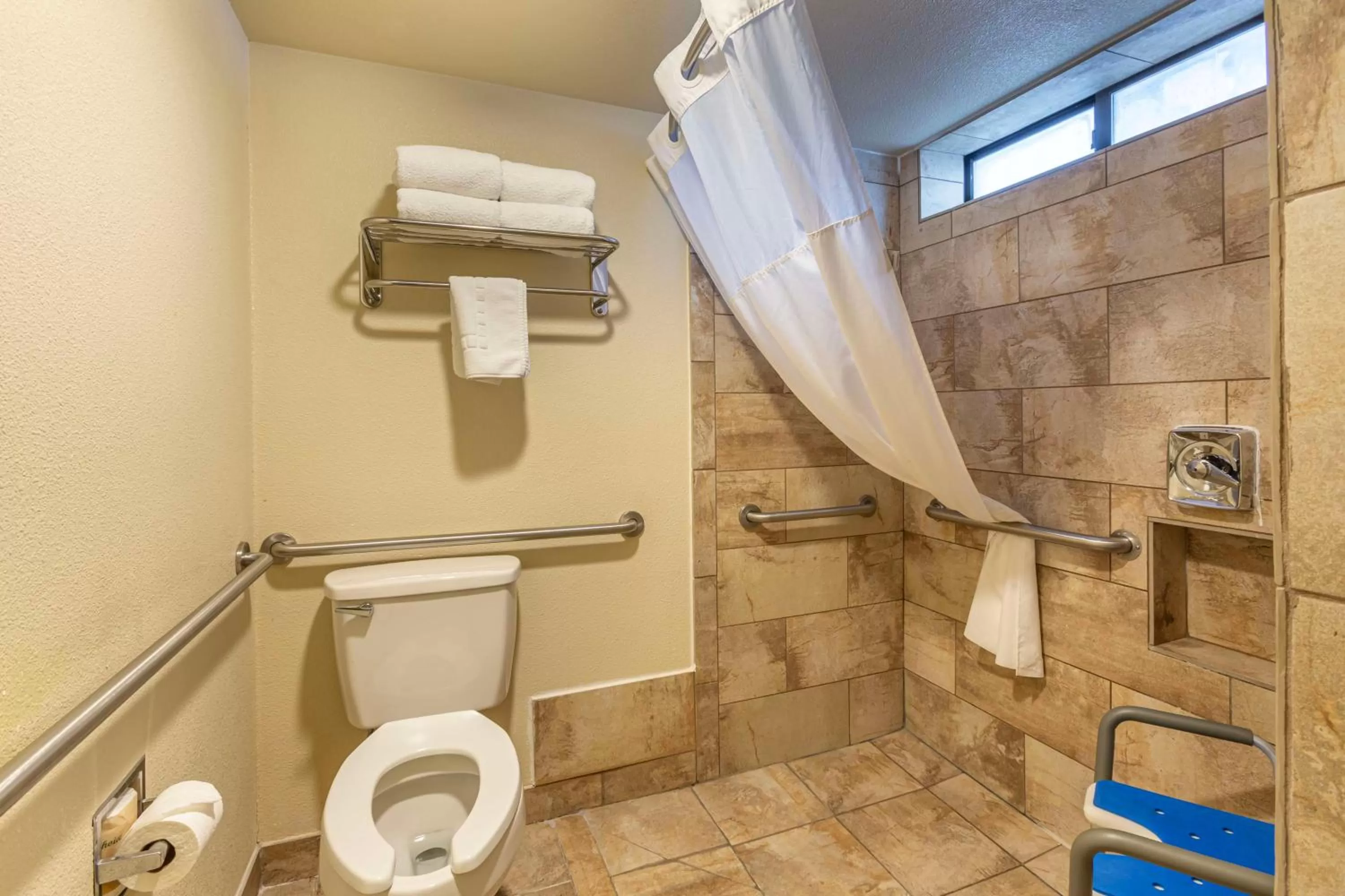 Bathroom in Best Western Arizonian Inn