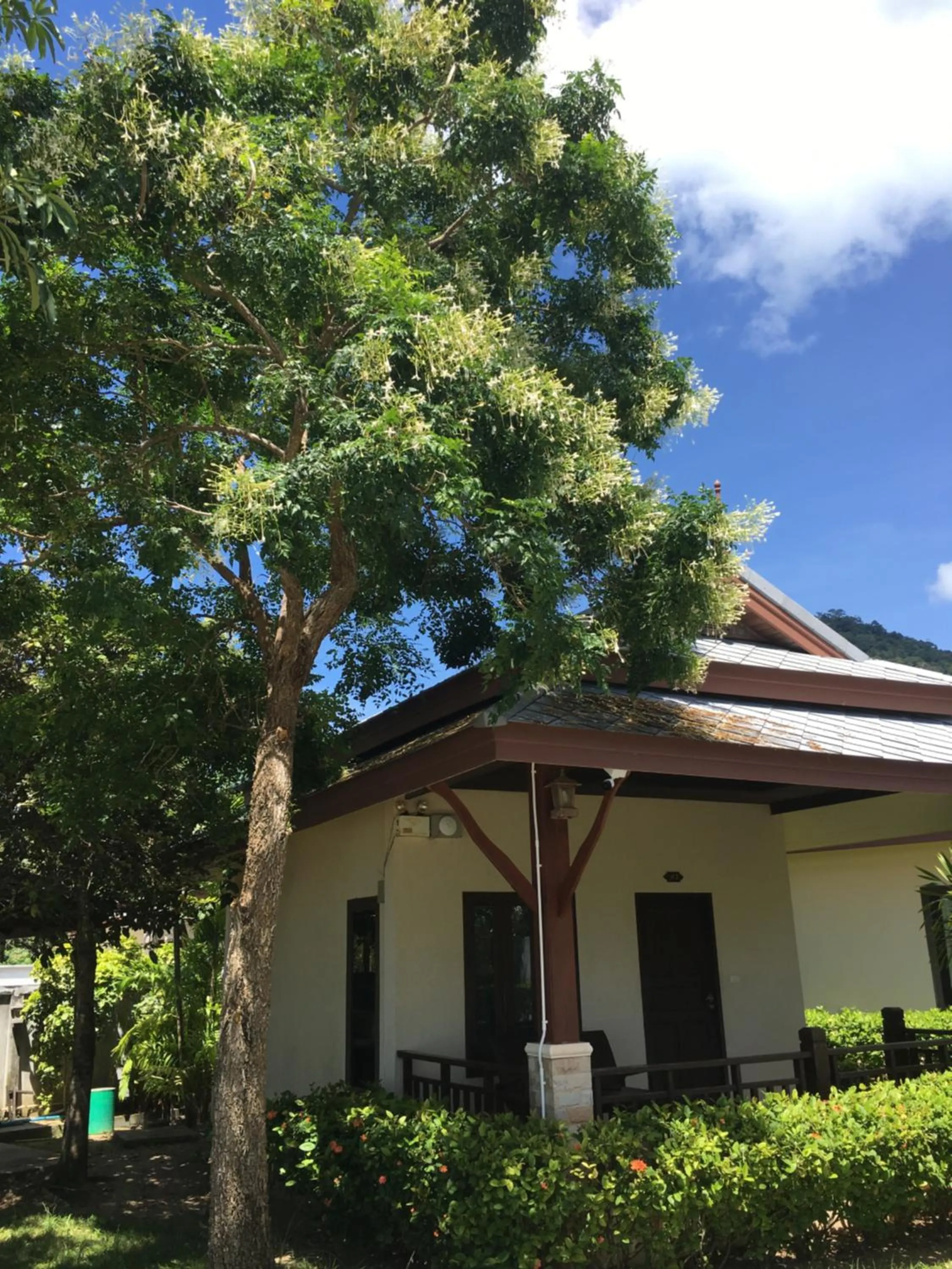 Photo of the whole room in Grand Manita Beach Resort