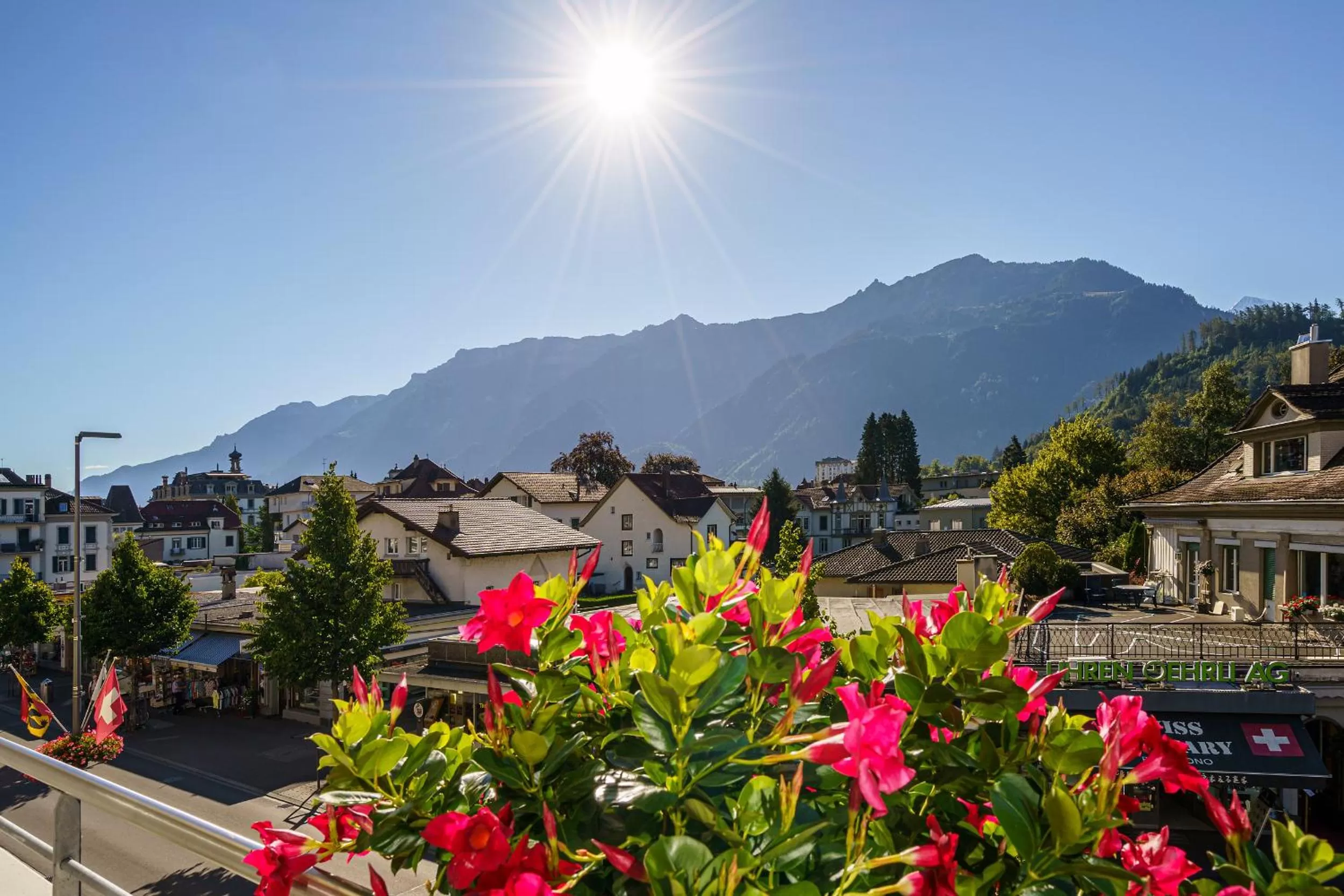 Mountain view in Hotel Bernerhof