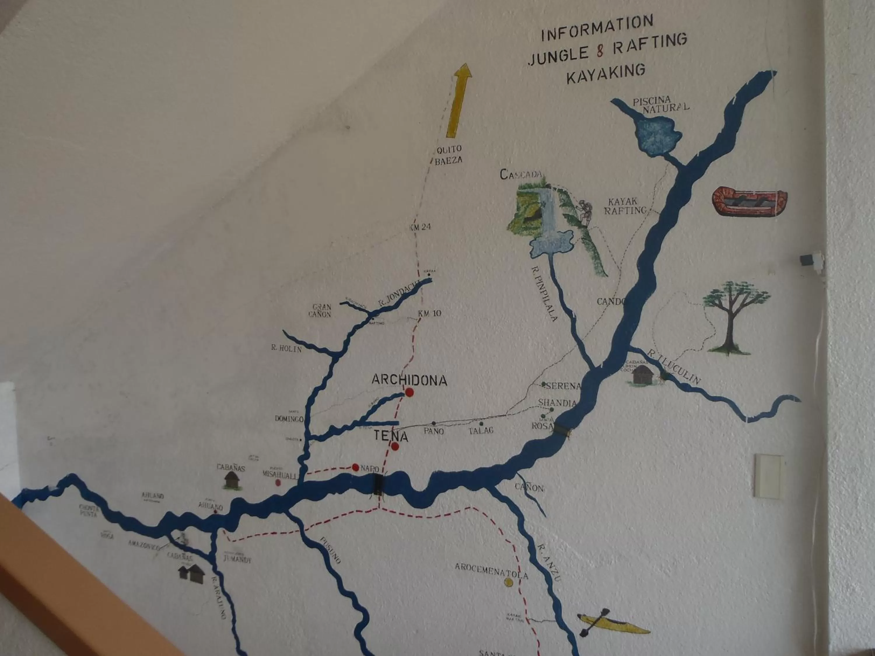 Canoeing in Hostal Limoncocha