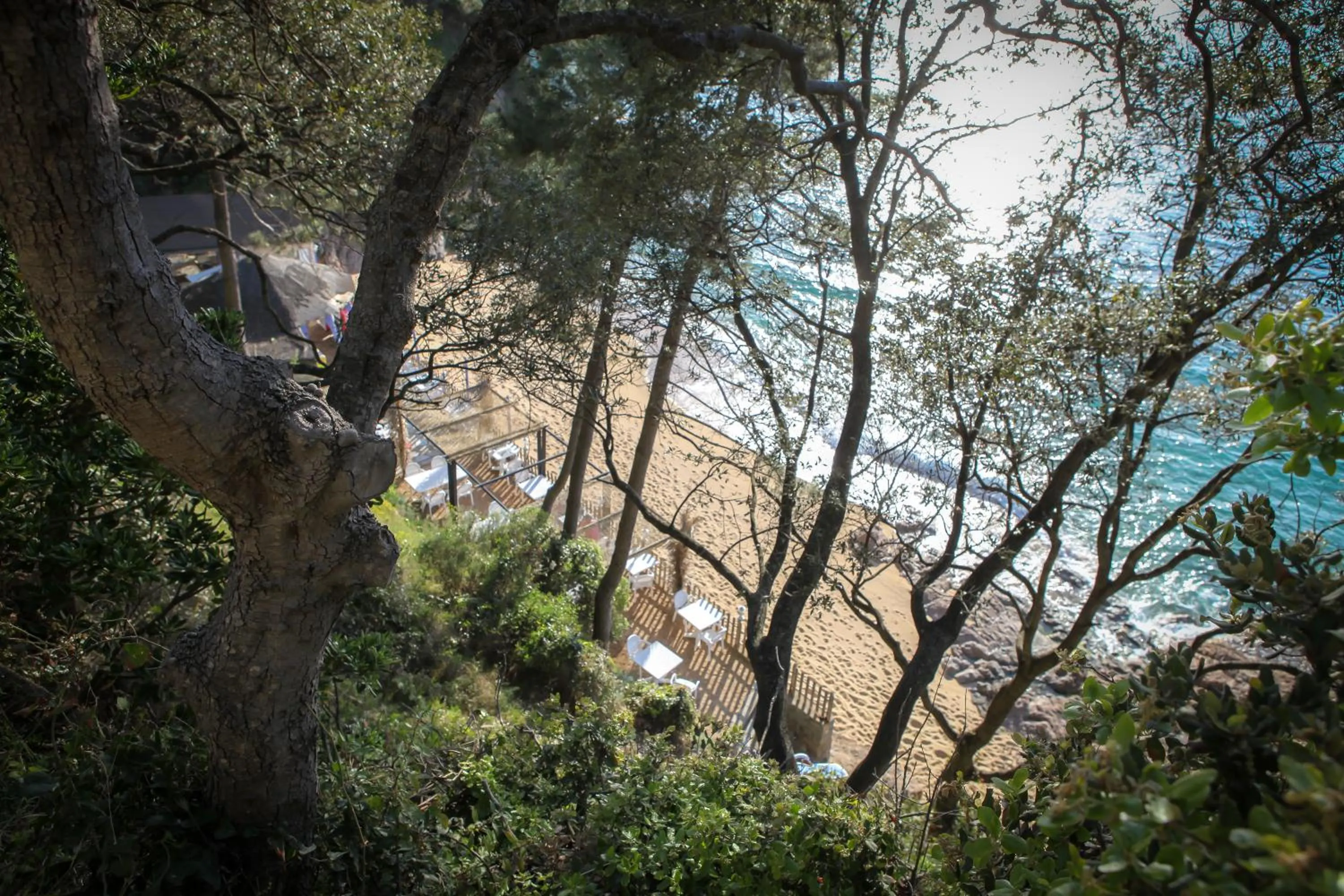 Beach in Hotel Roc E Mare
