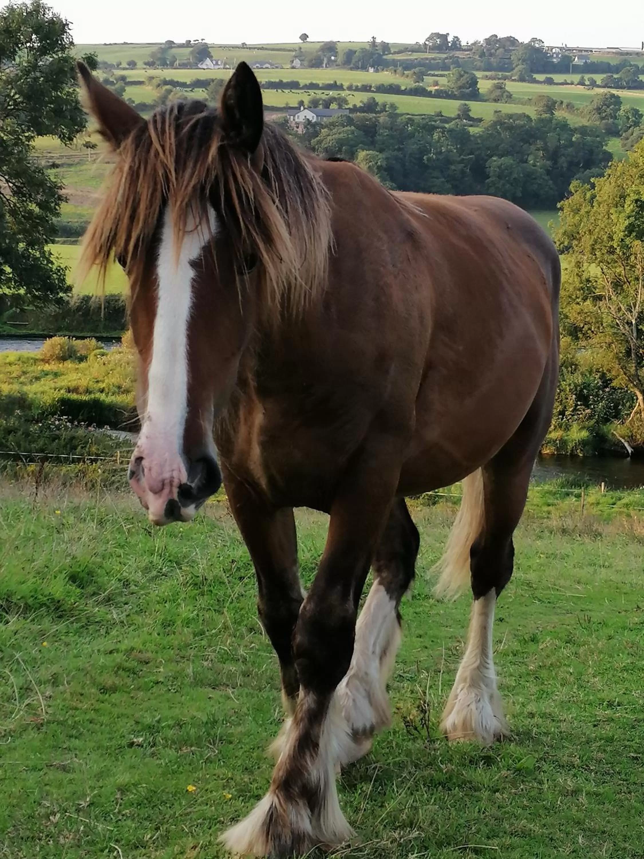 Cable Island Bed and Breakfast