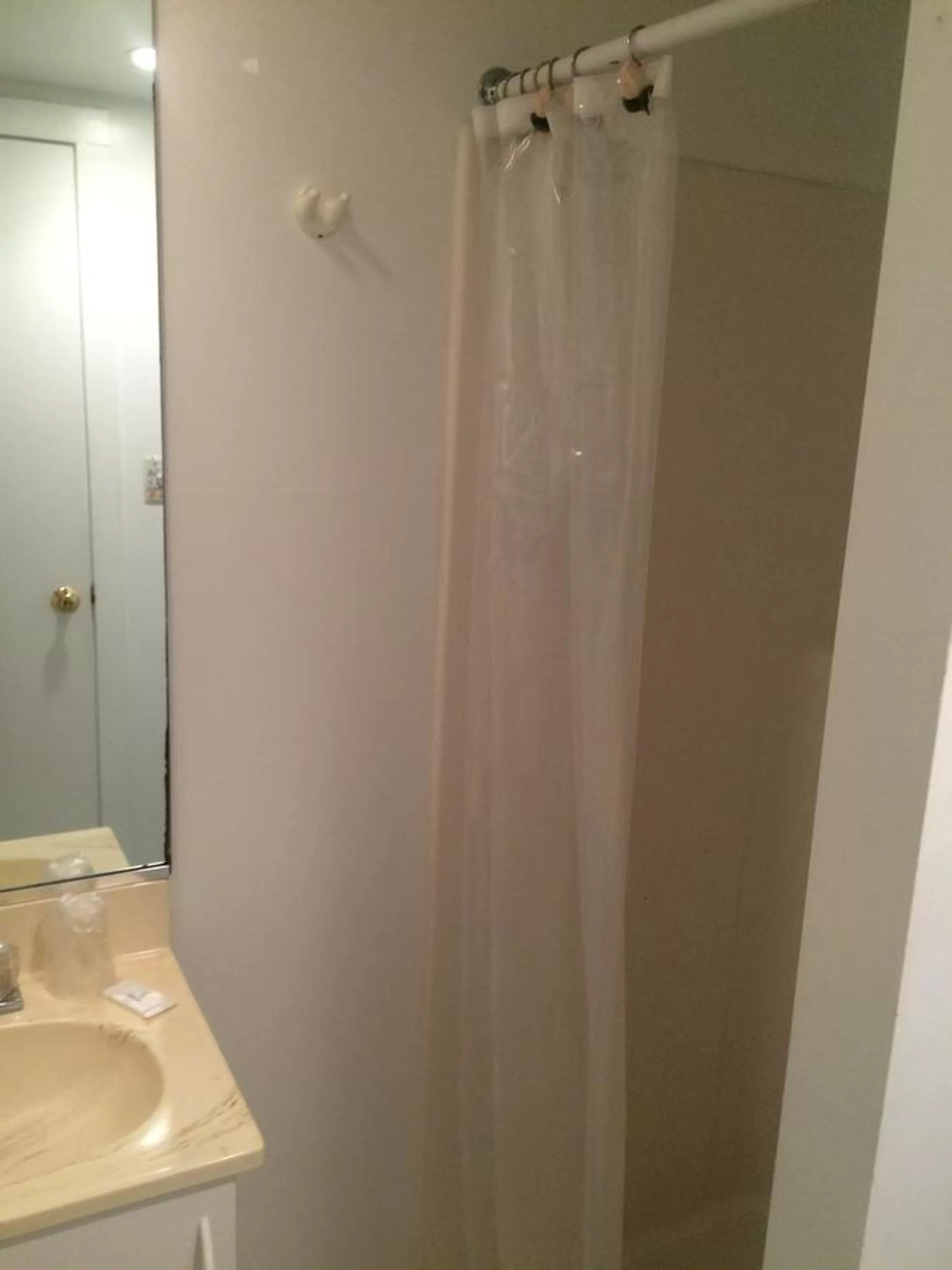 Shower in Angie's Guest Cottage