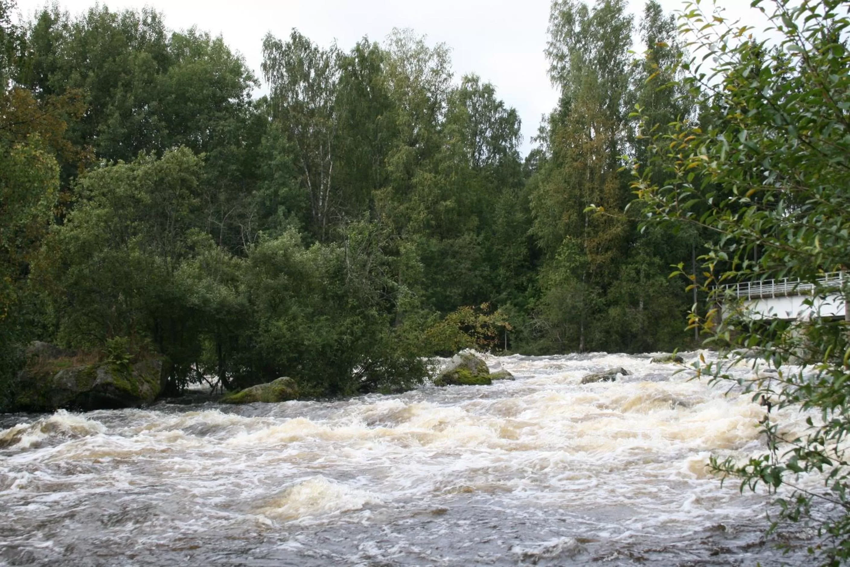 Natural landscape in Varjola Holiday Center