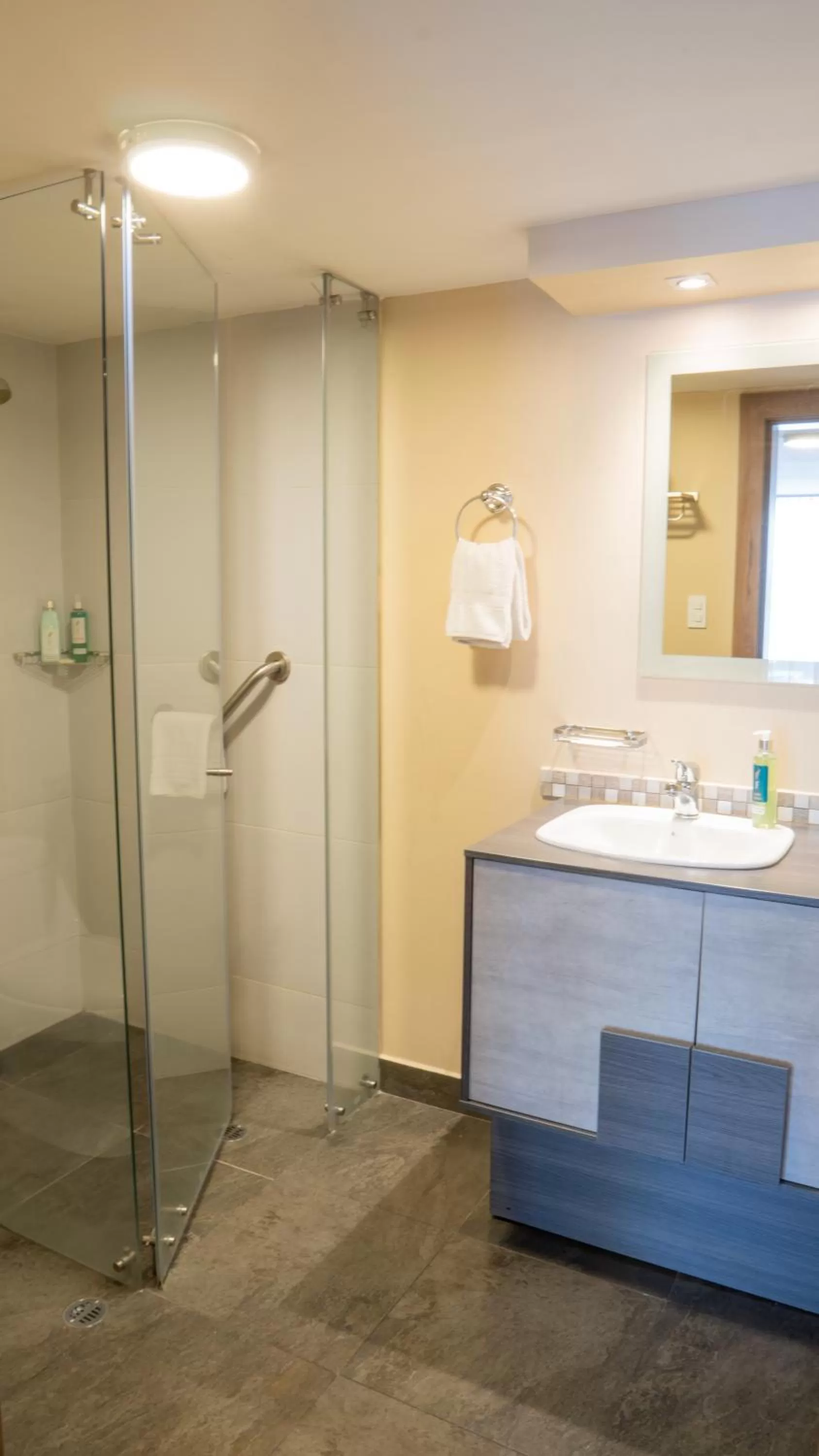 Shower in Fenix Hotel