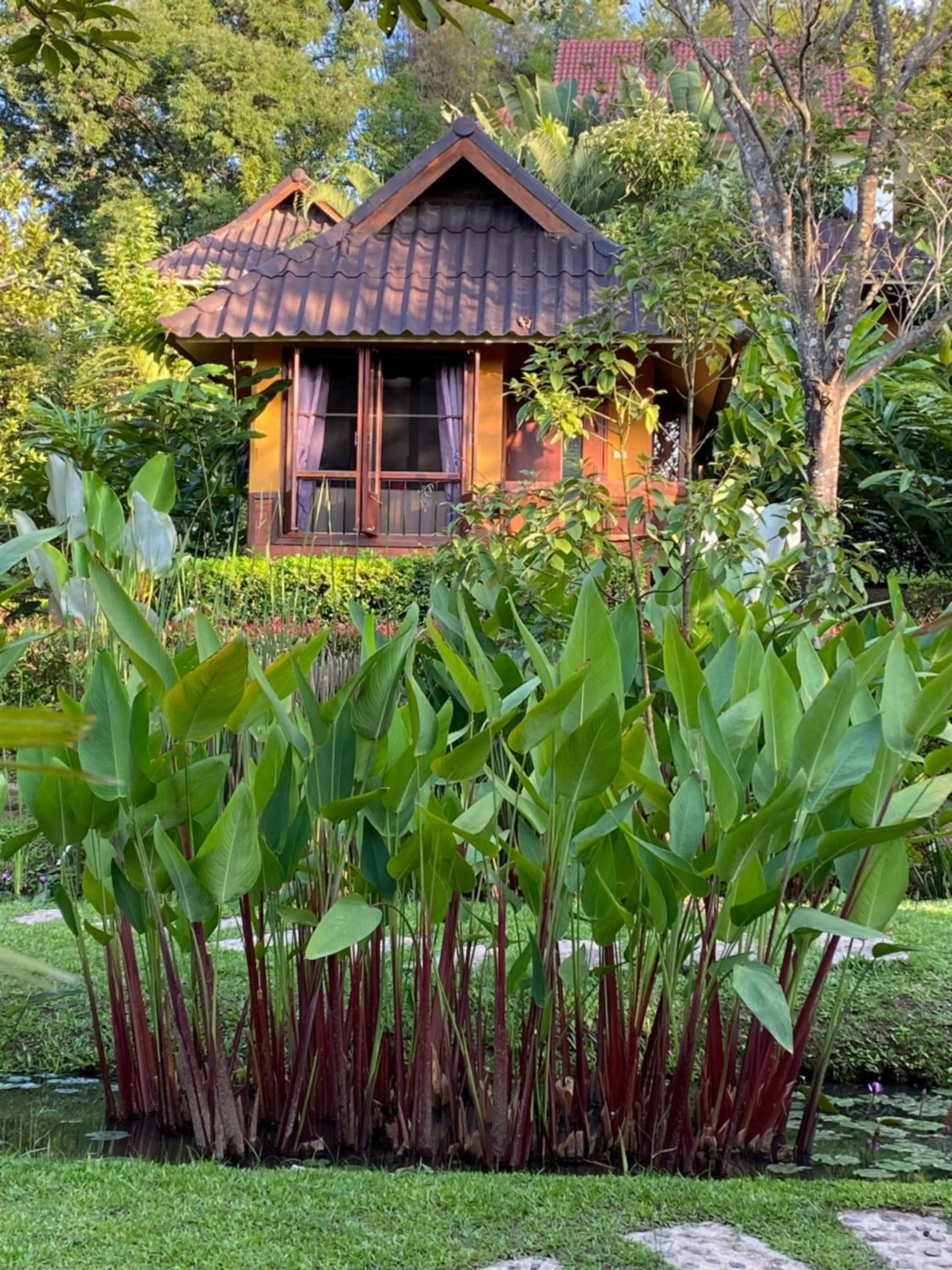 Garden view in Pura Vida Pai Resort