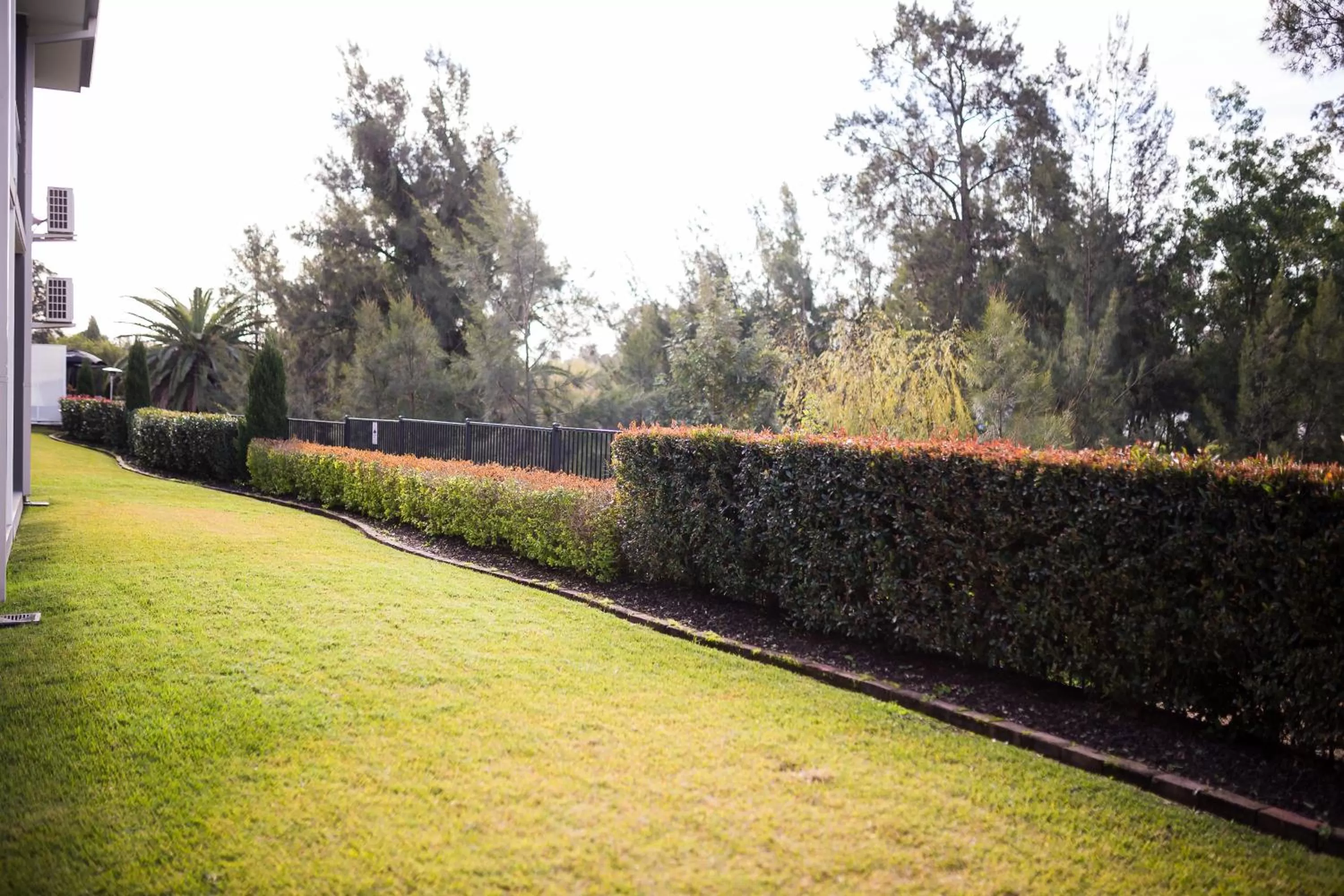 Garden in The Remington Muswellbrook