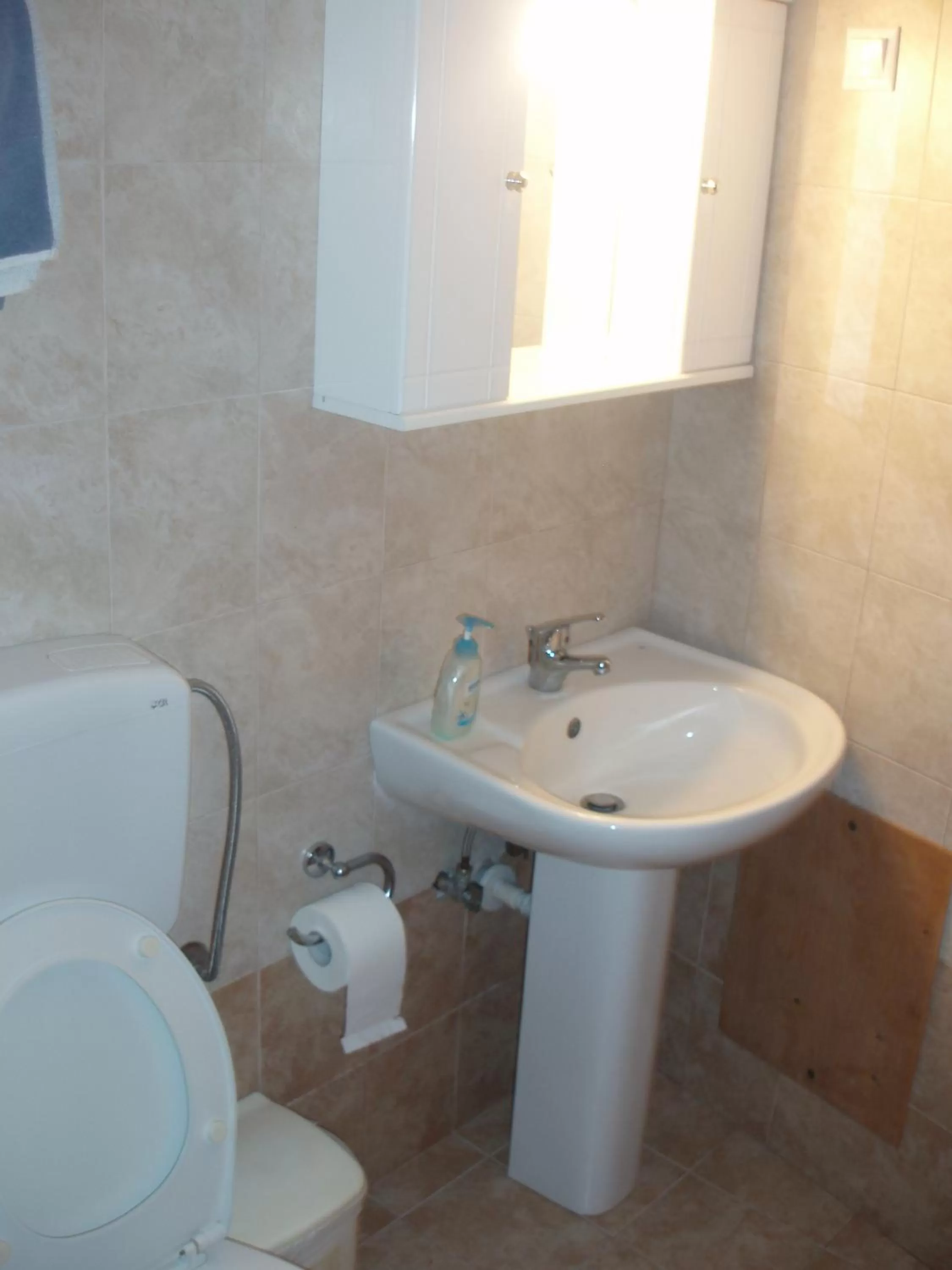 Toilet in skiathos studios HL