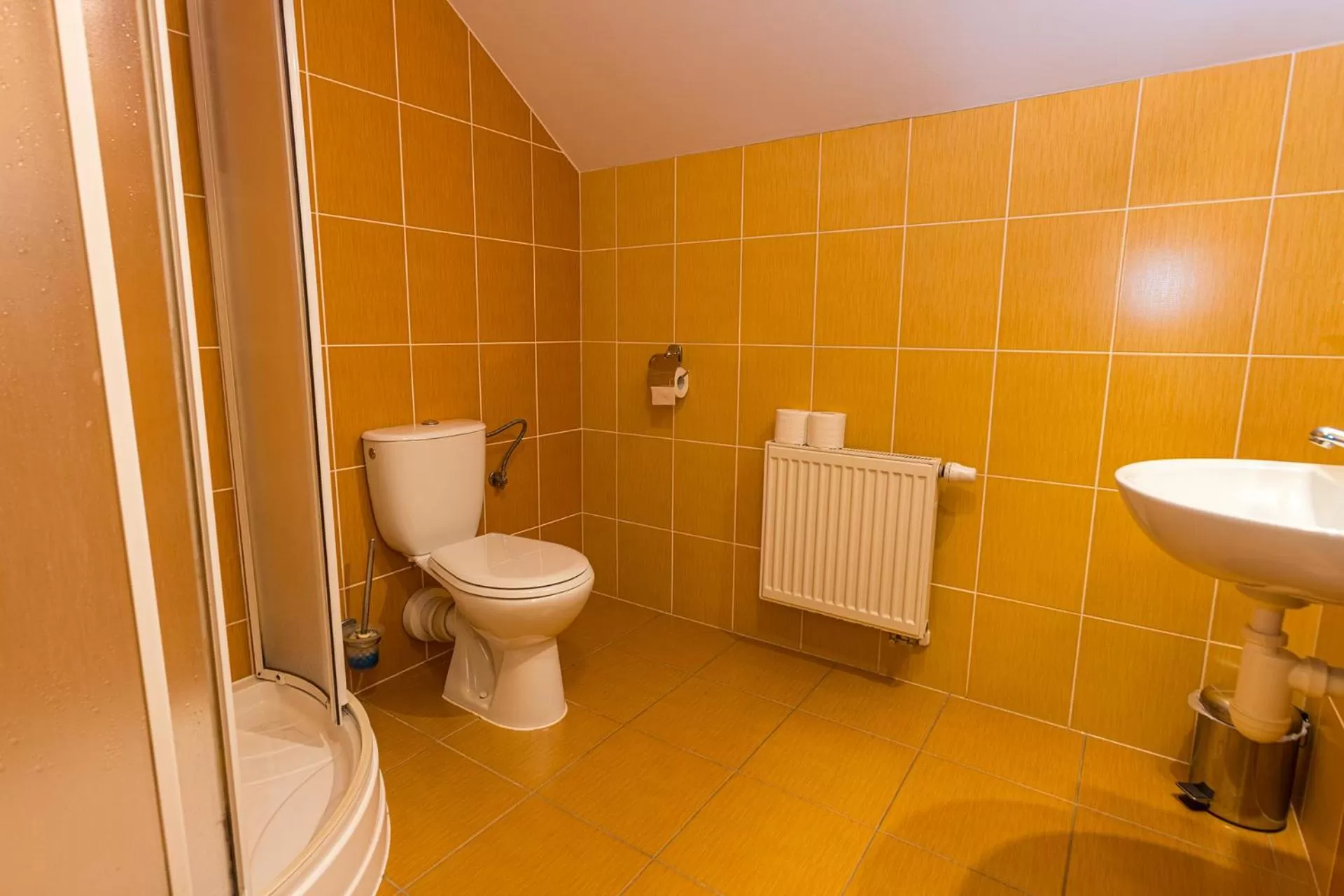 Bathroom in Hotel Seifert