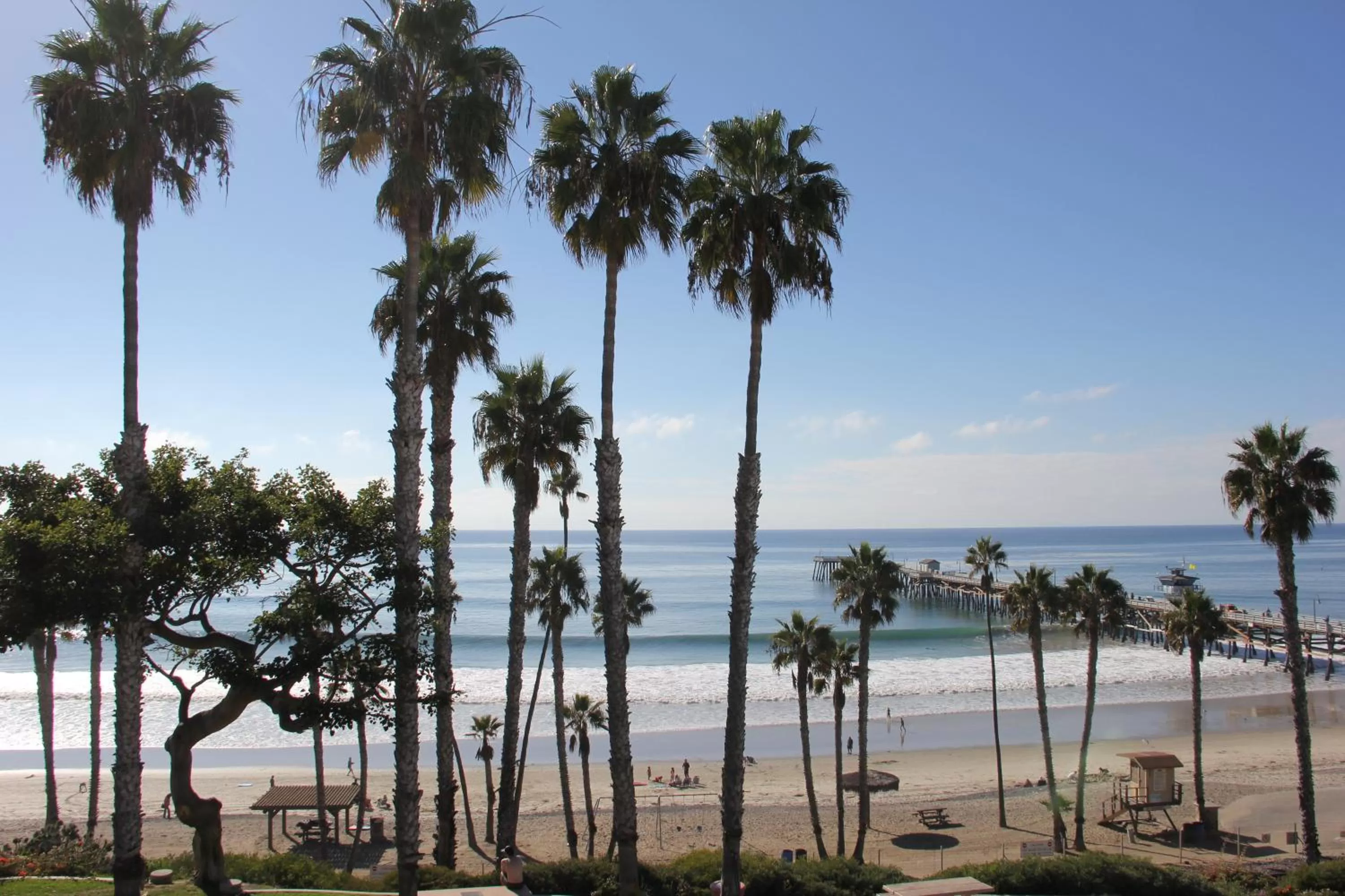 View (from property/room) in Sea Horse Resort