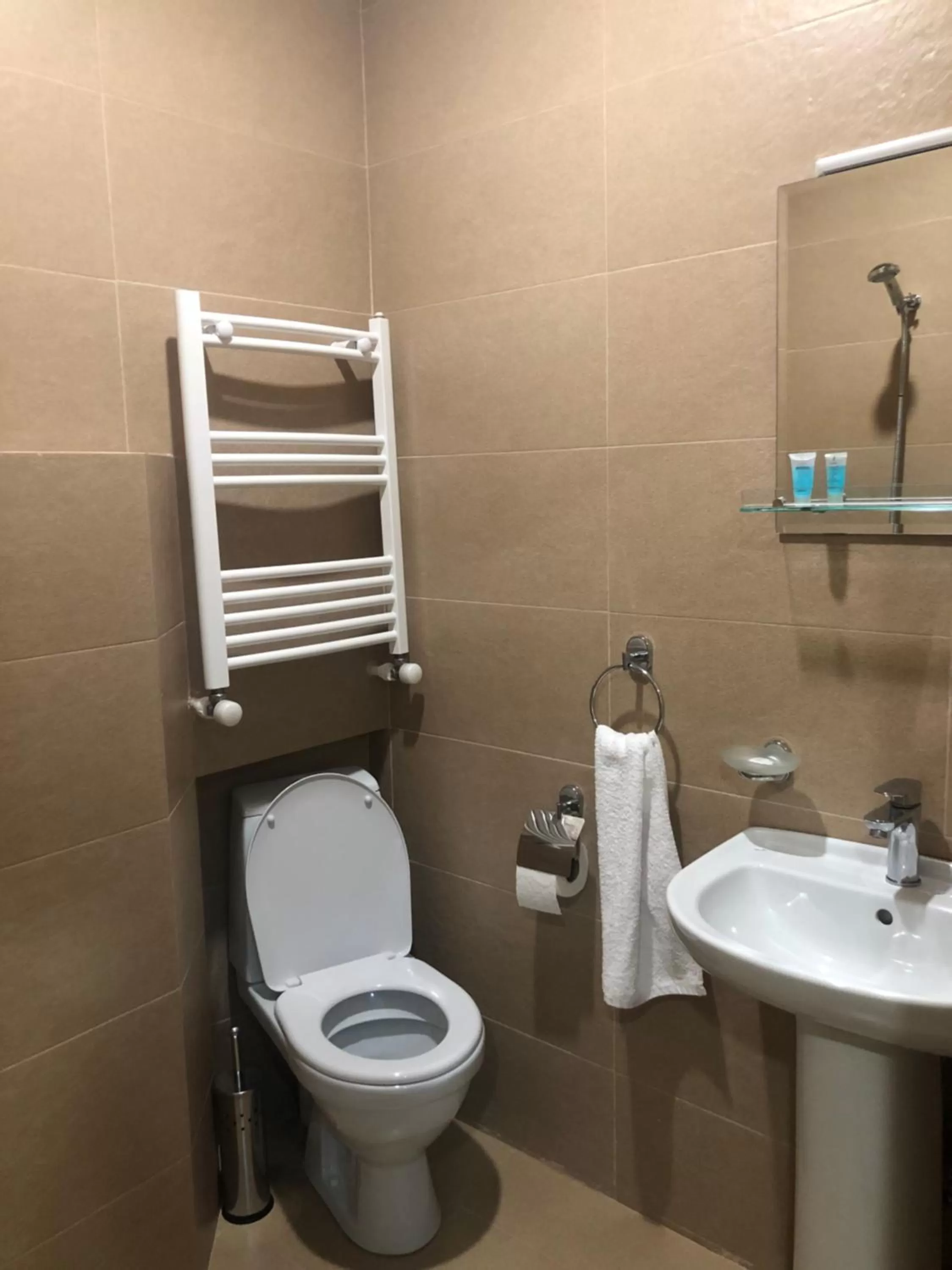 Bathroom in Borjomi Yellow Hotel