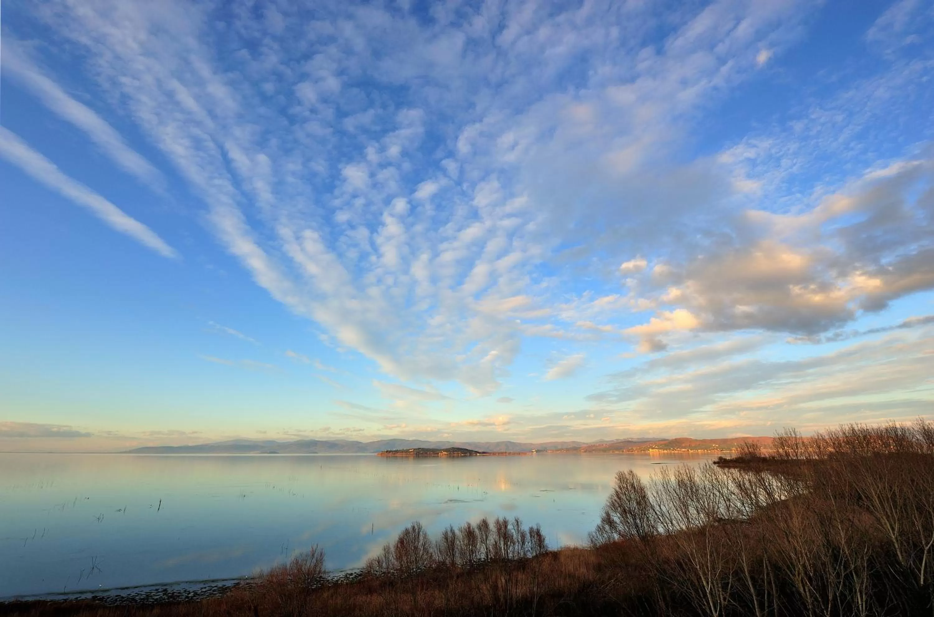 Area and facilities in Agriturismo Tenuta Badia
