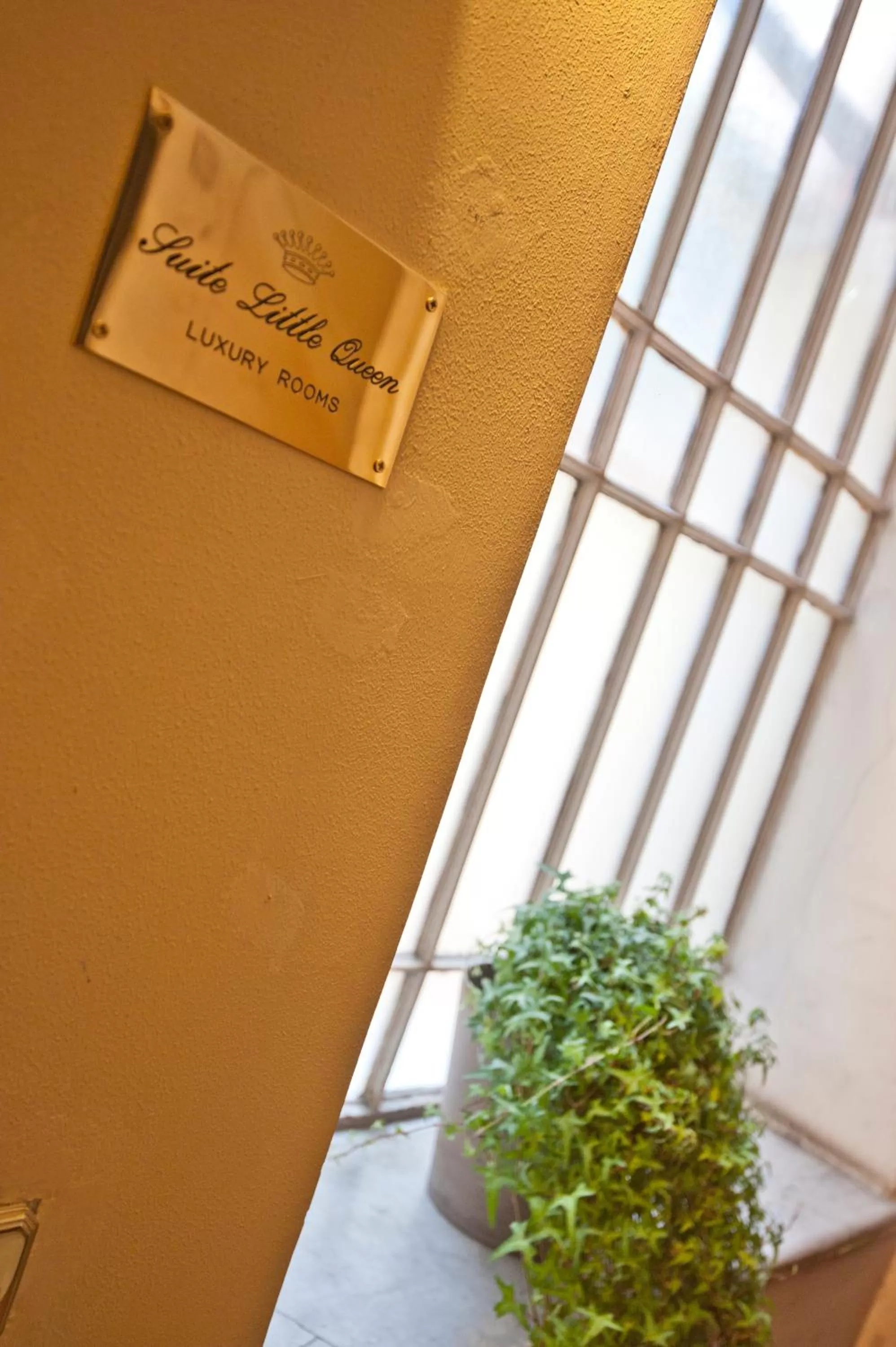 Other in Little Queen Suite