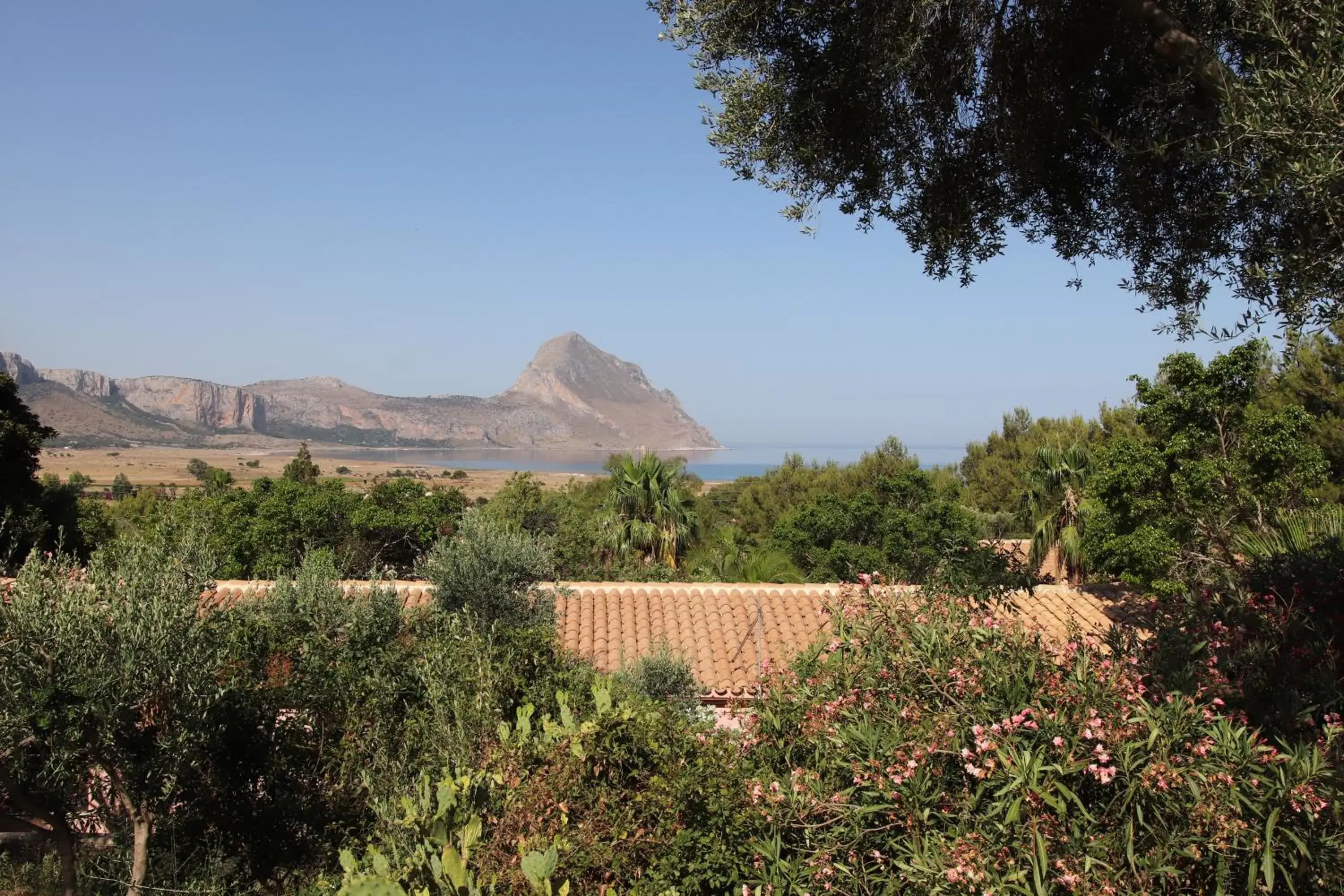 Double Room with Sea View in Cala Dell'Arena Double Room with Sea View in Cala Dell'Arena